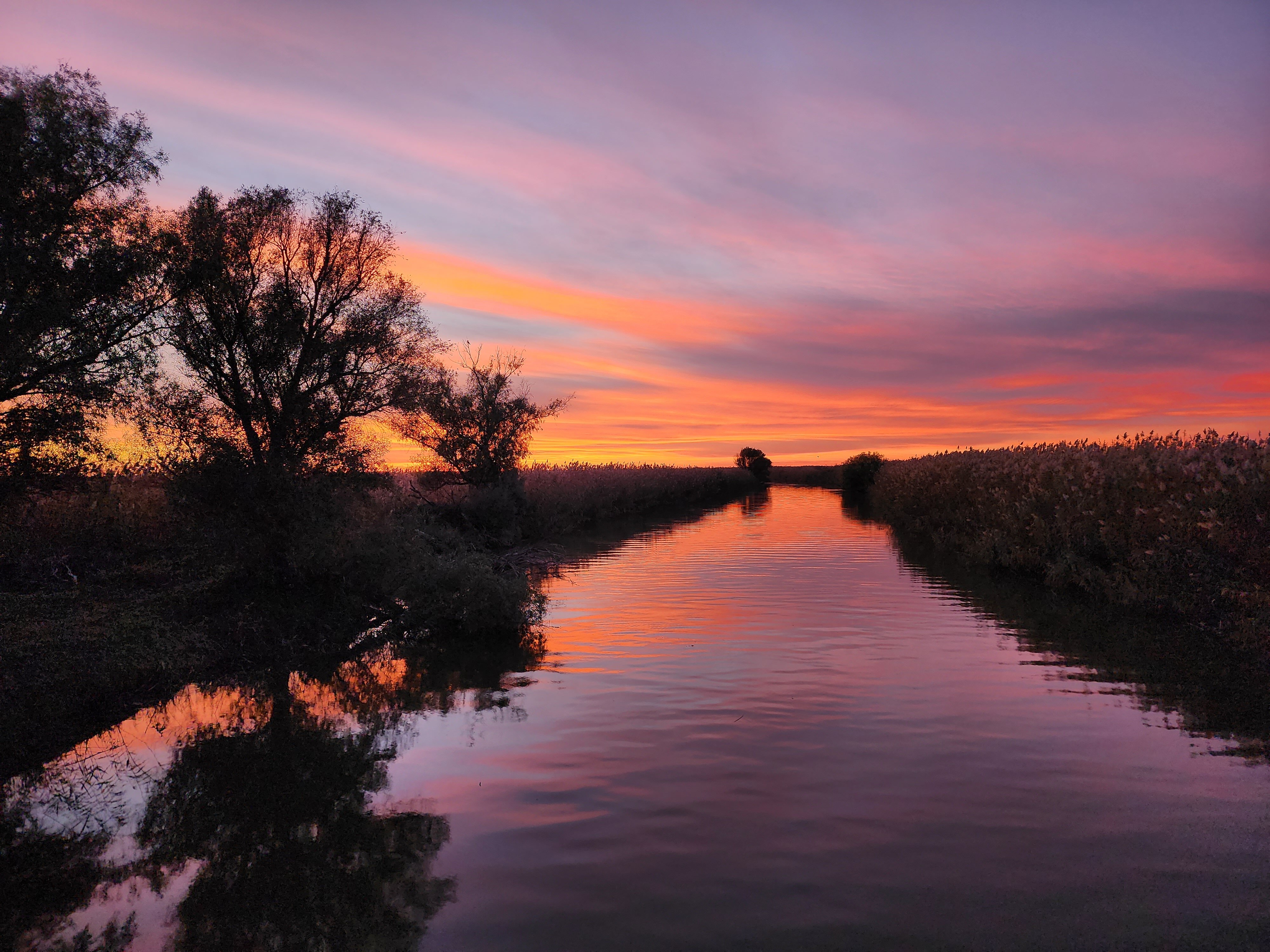 Фото Пиранья Дельта