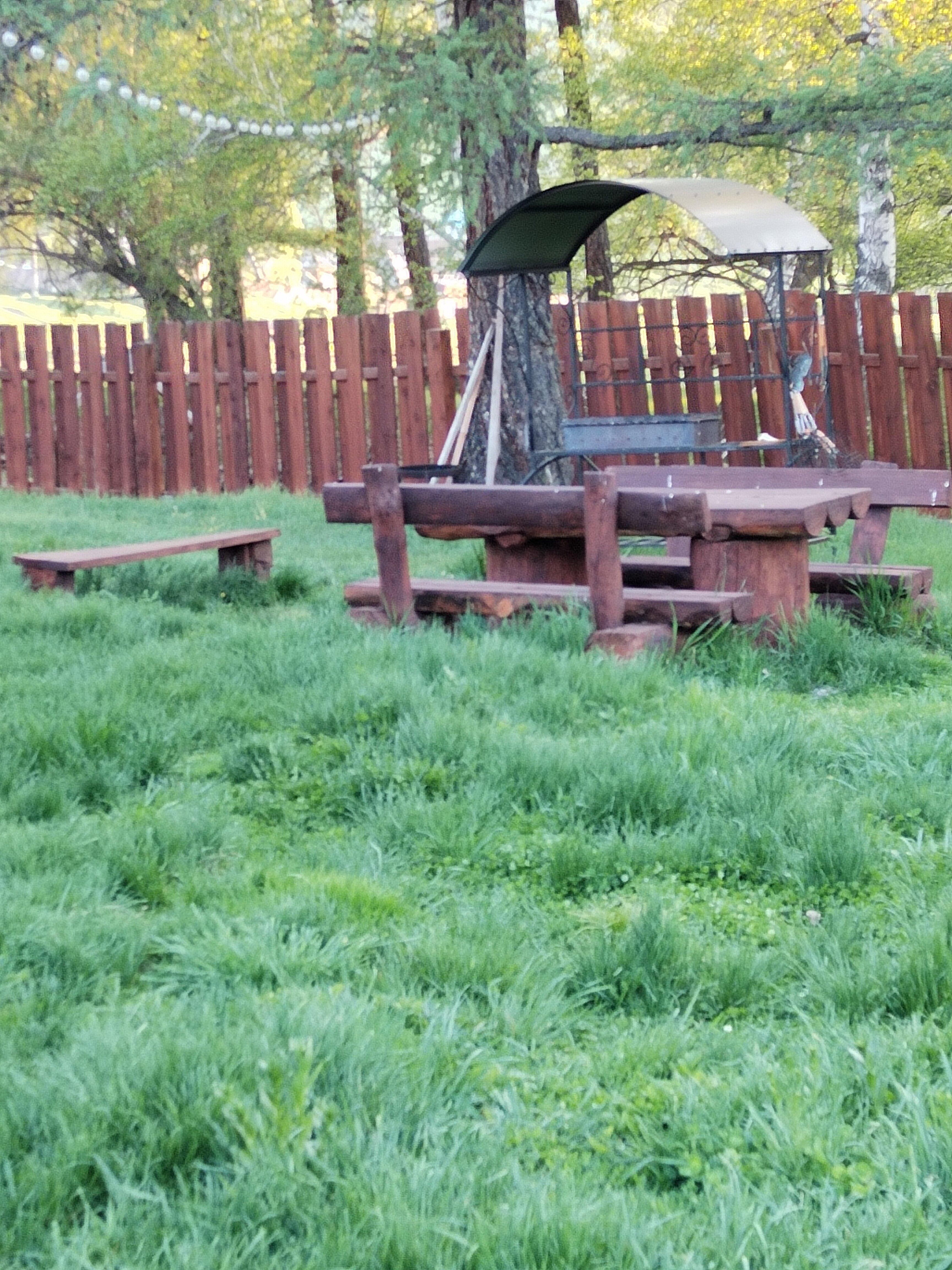 Фото Ай Алтай