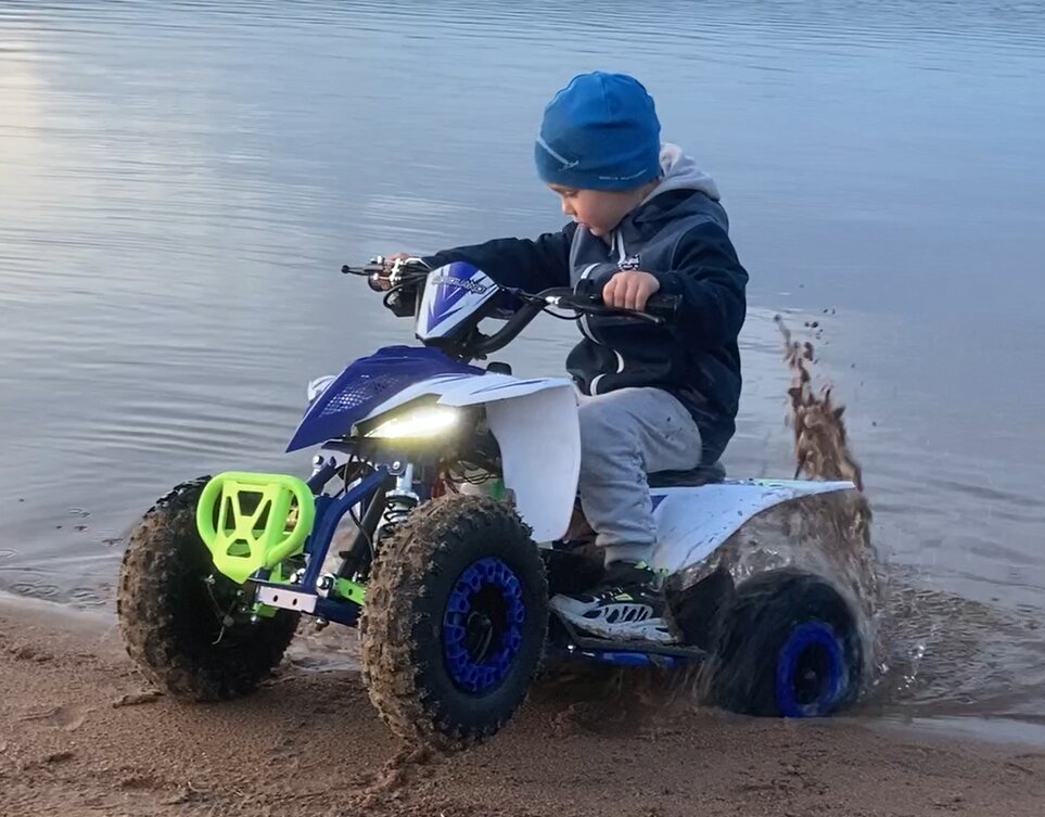 Фото Брусника