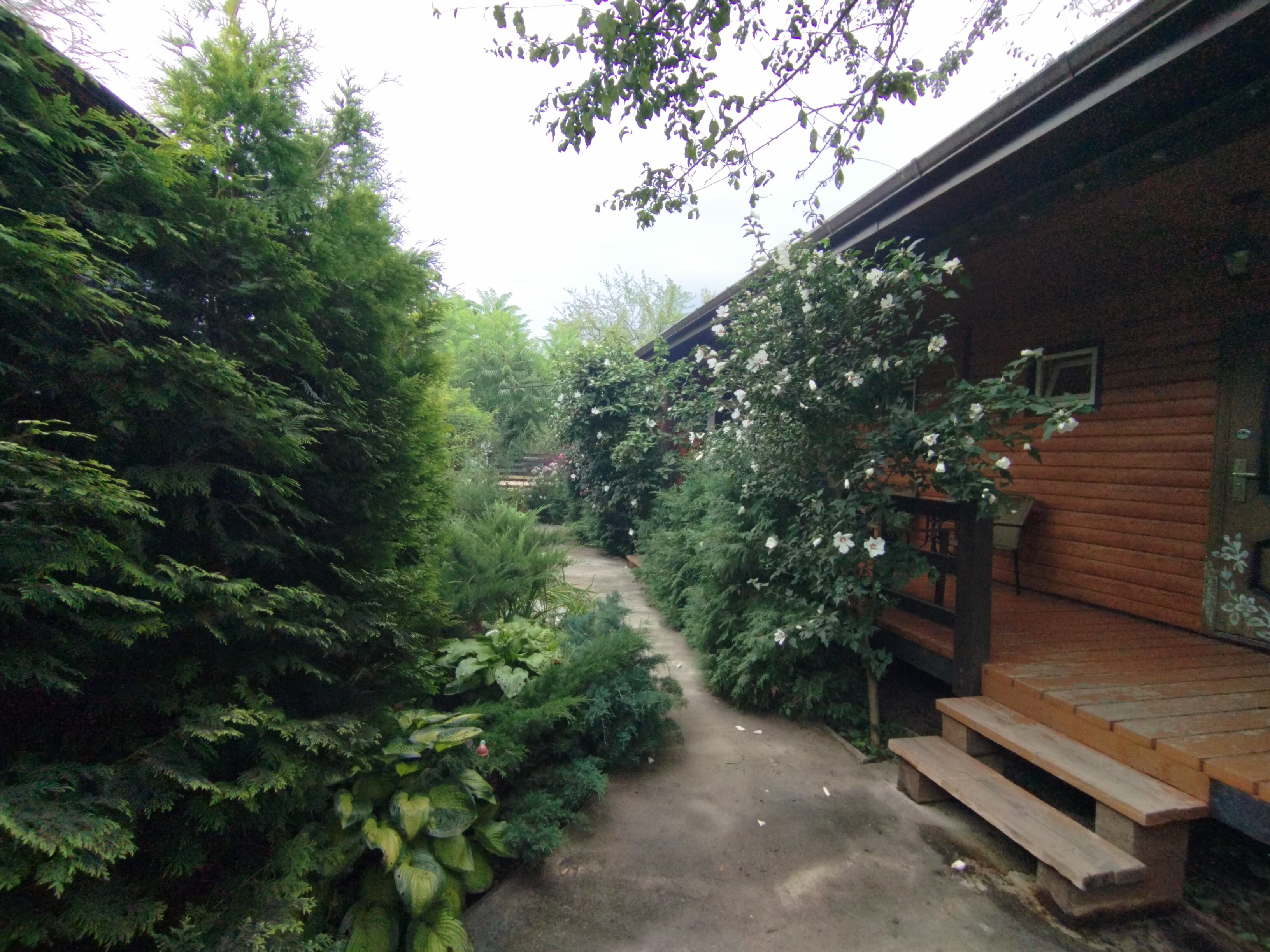 Фото Зелёный уголок