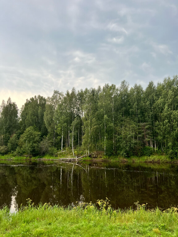 Фото Эко-усадьба Горностай