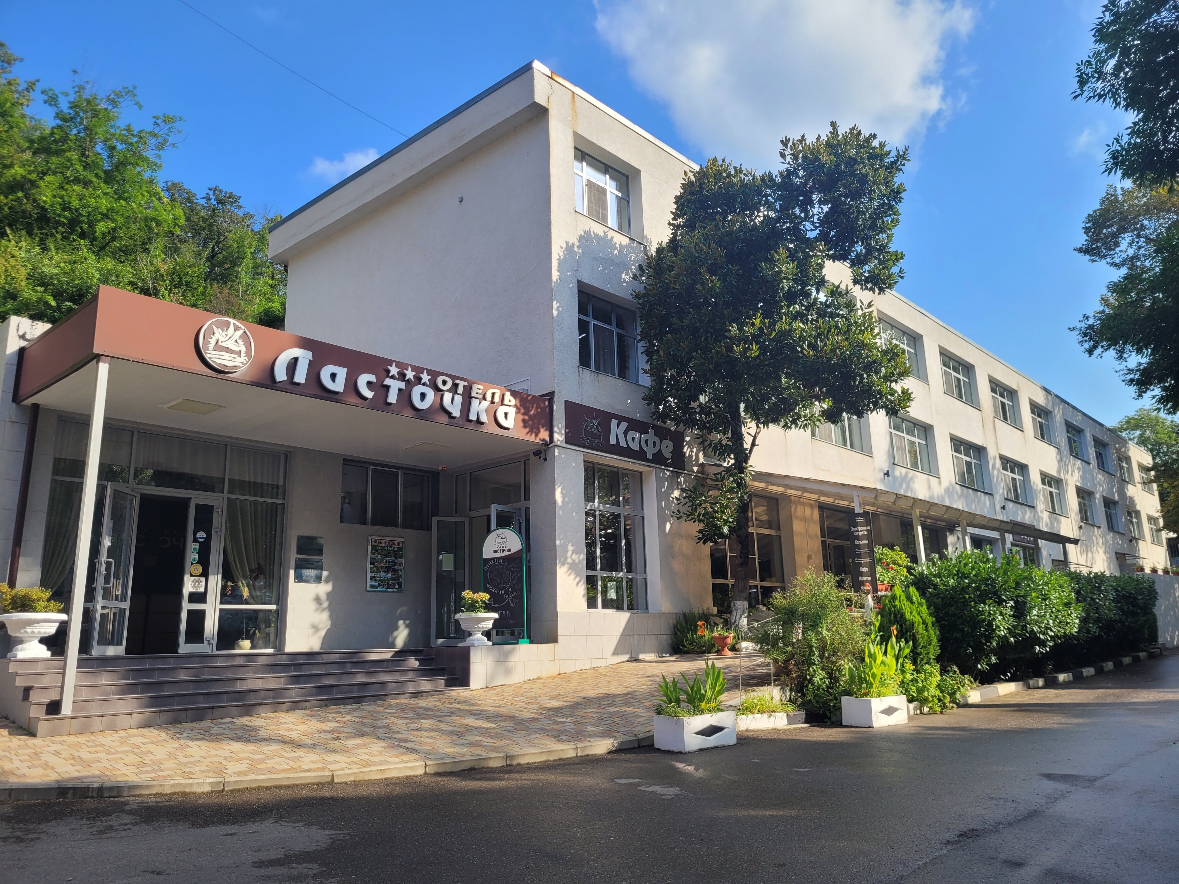 Фото Ласточка