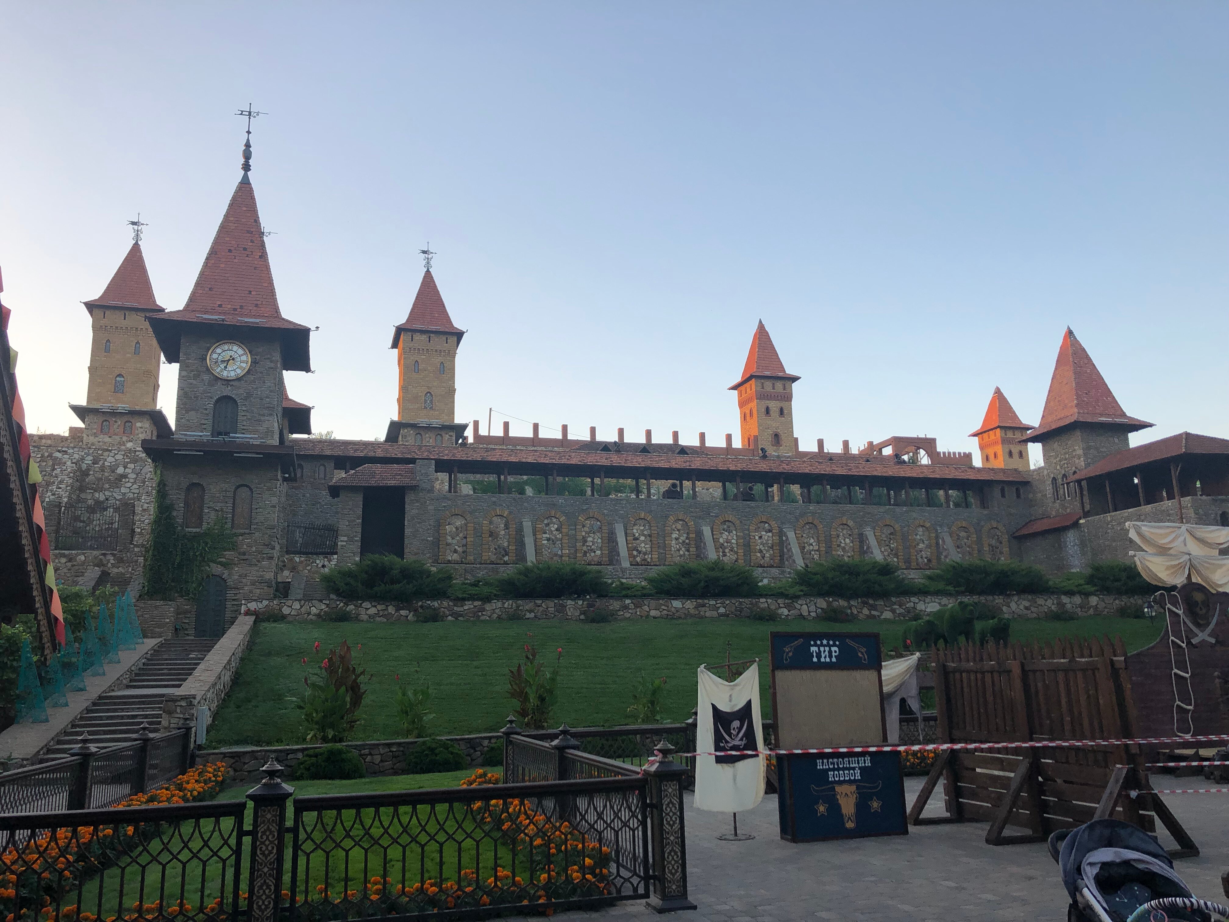 Фото Подсолнух