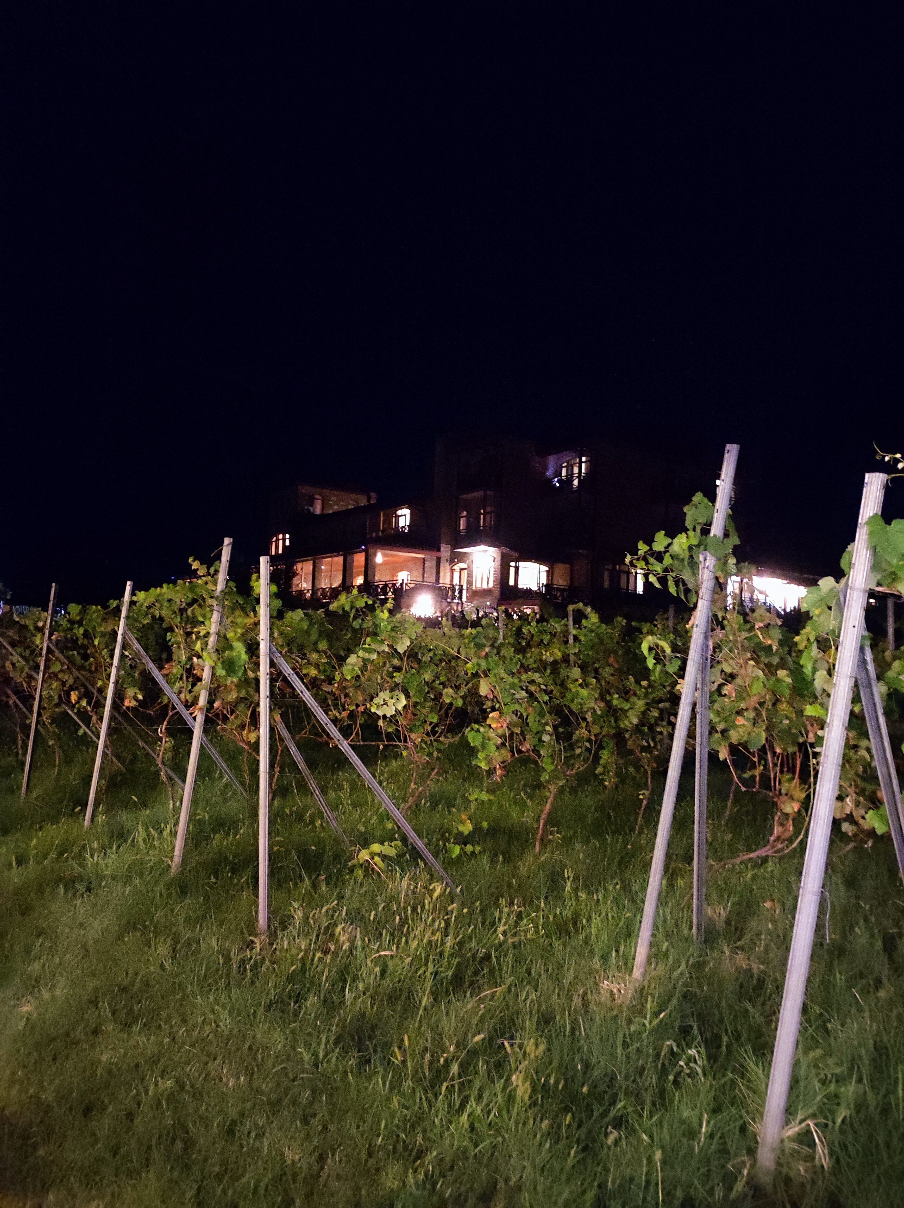 Фото Schuchmann Wines Chateau & SPA