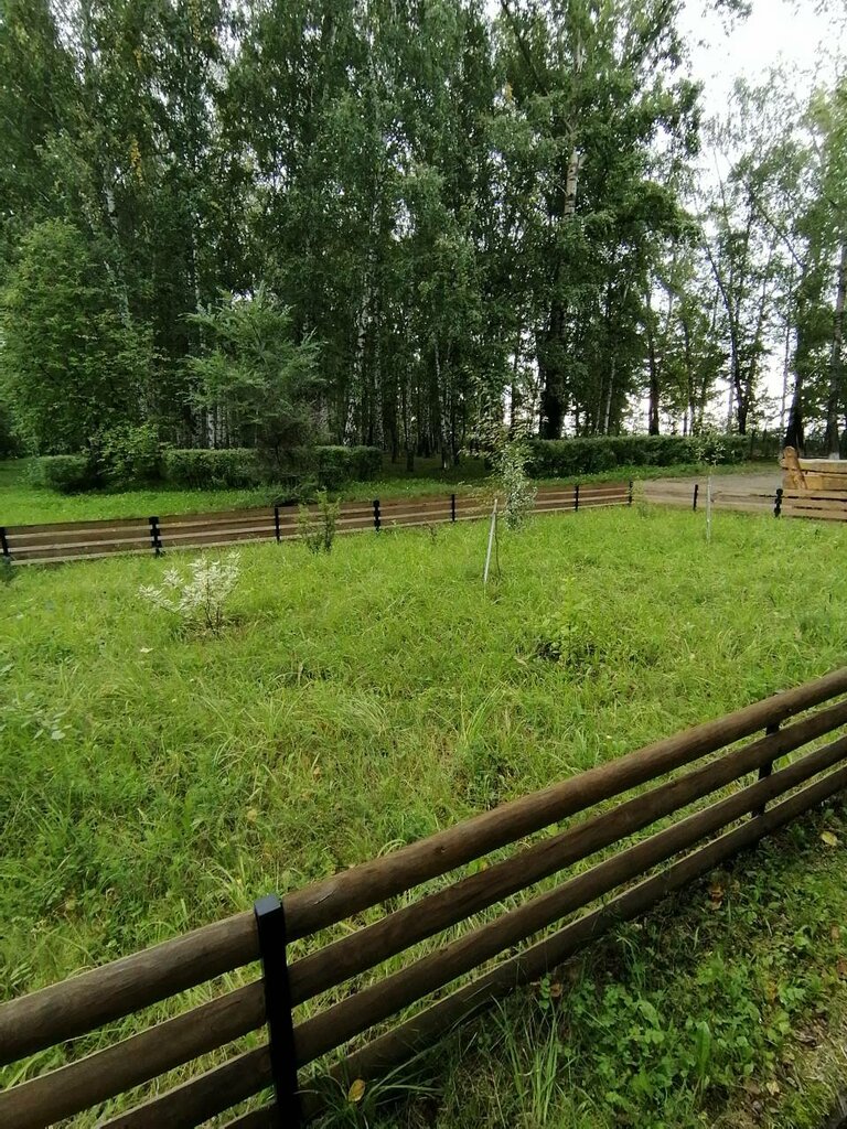 Monument, memorial Миру - мир, Seversk, photo