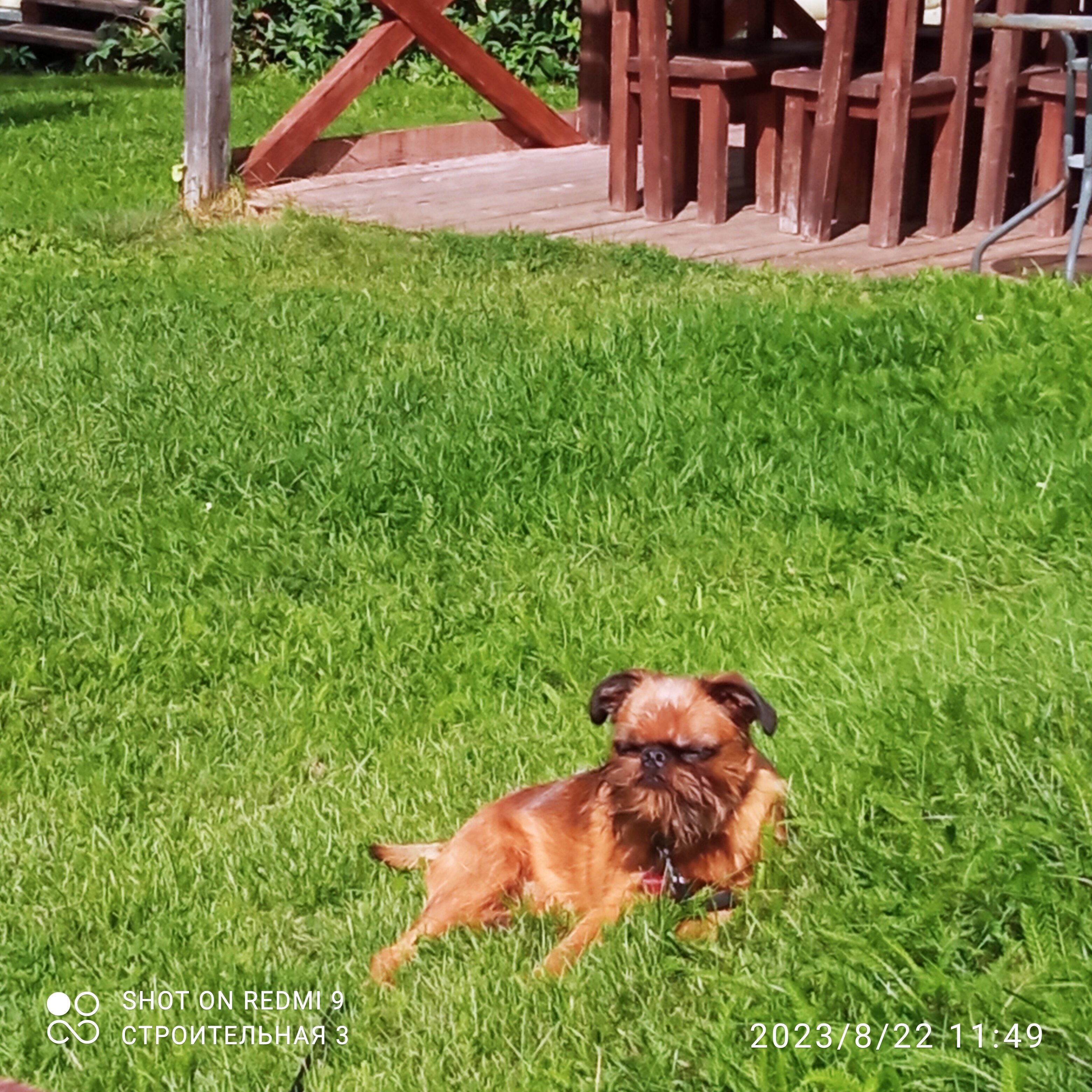 Фото Дункан