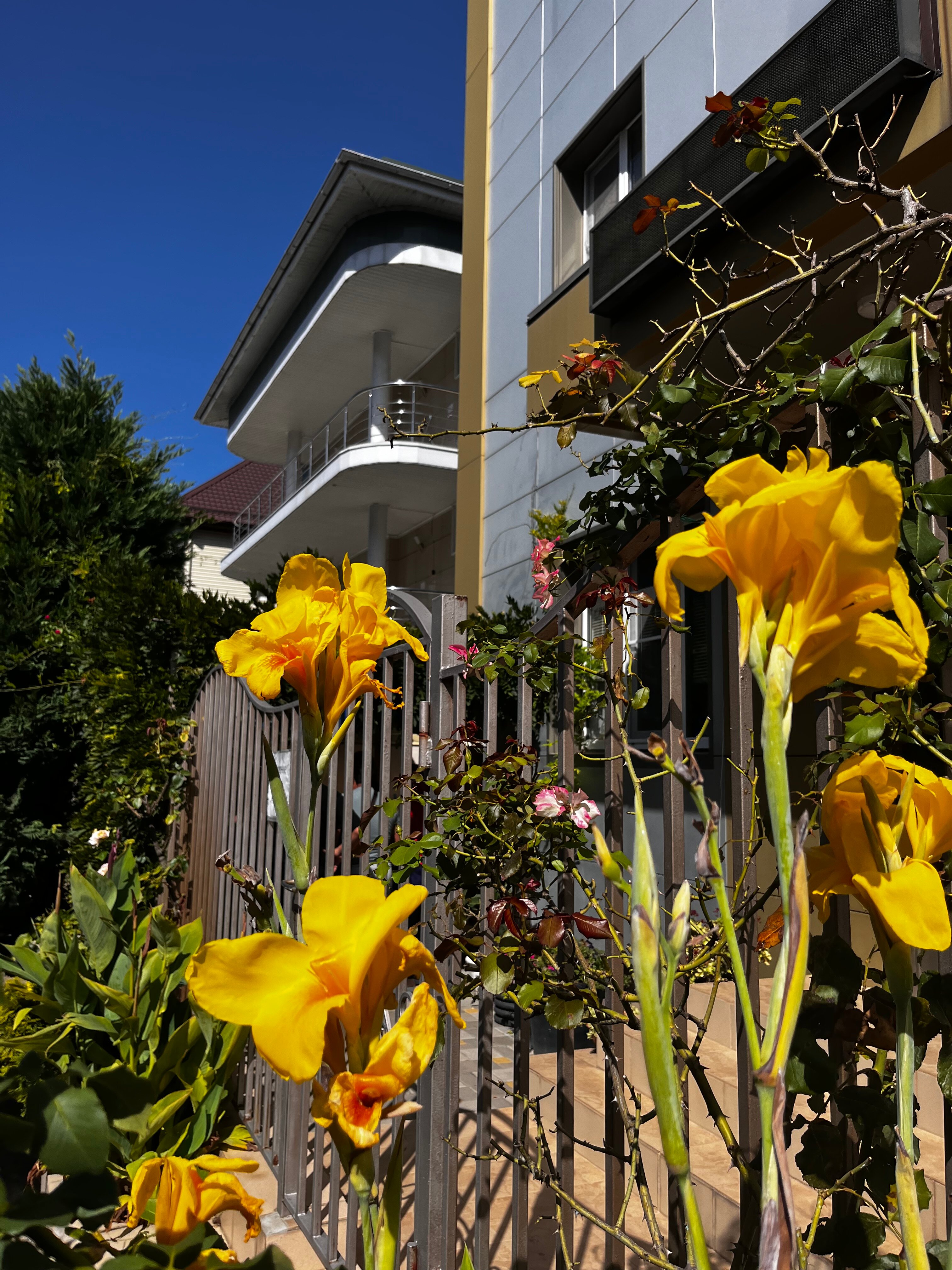 Фото отеля 3