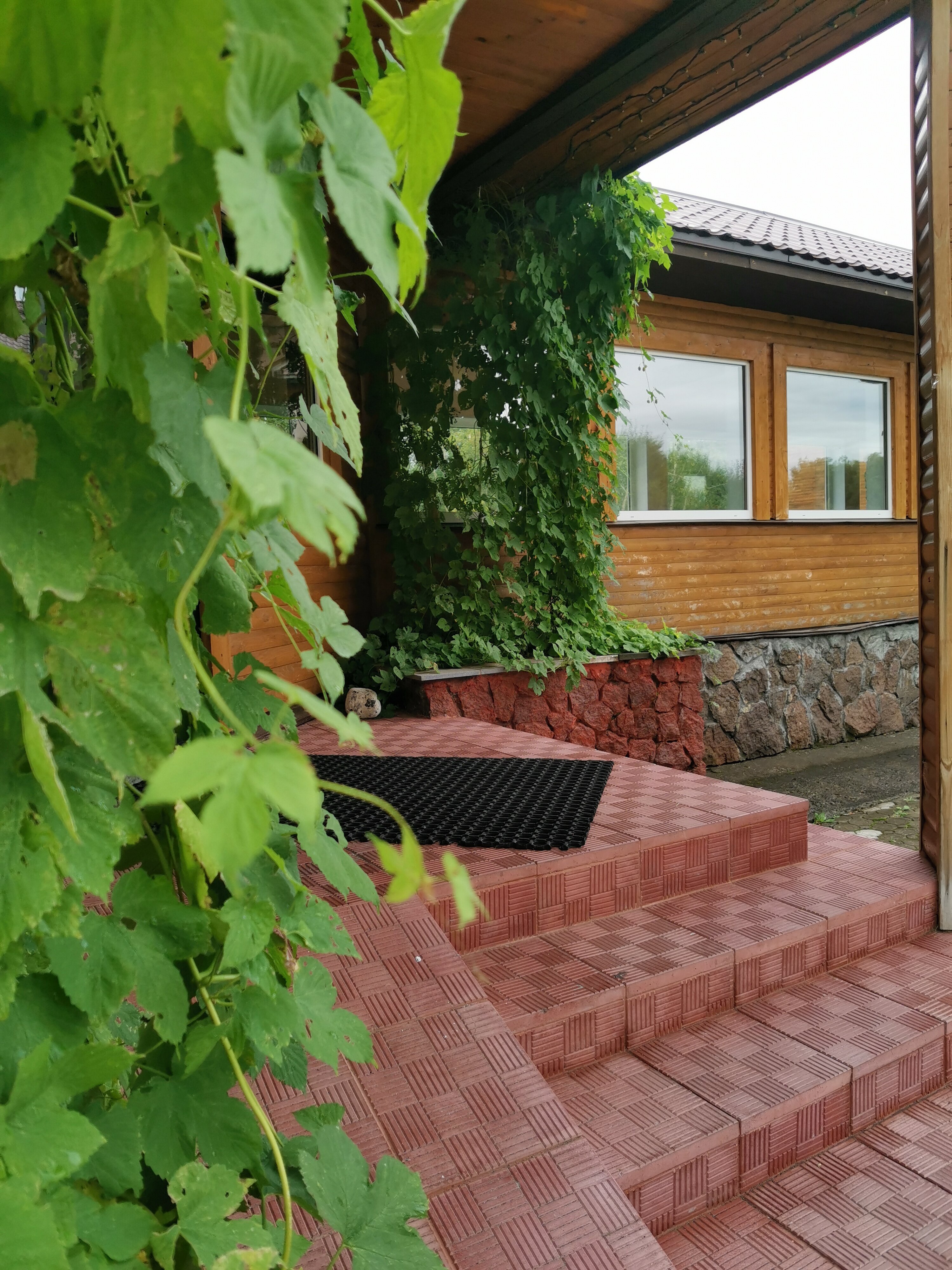 Фото Антариус