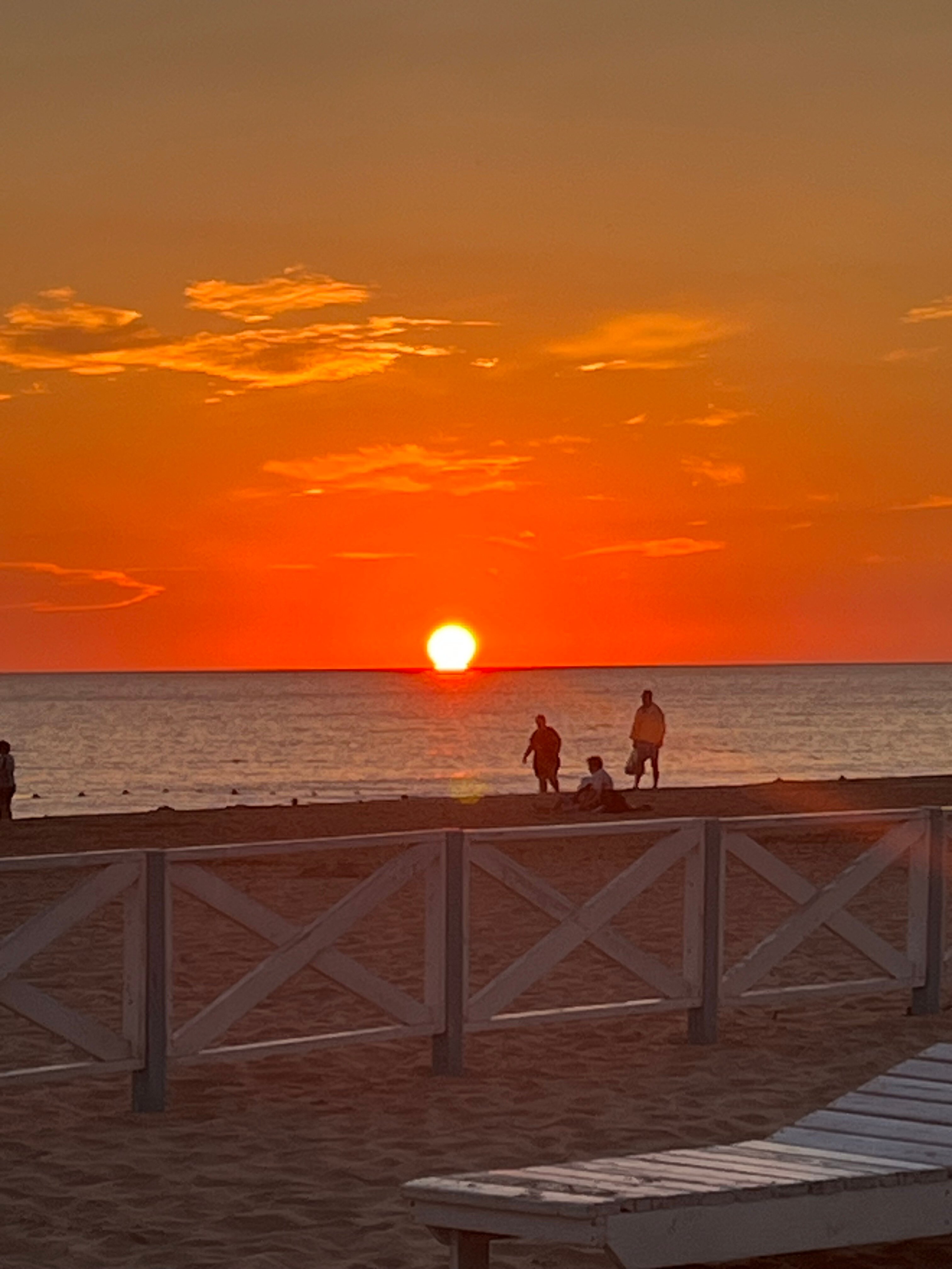 Фото Леонардо