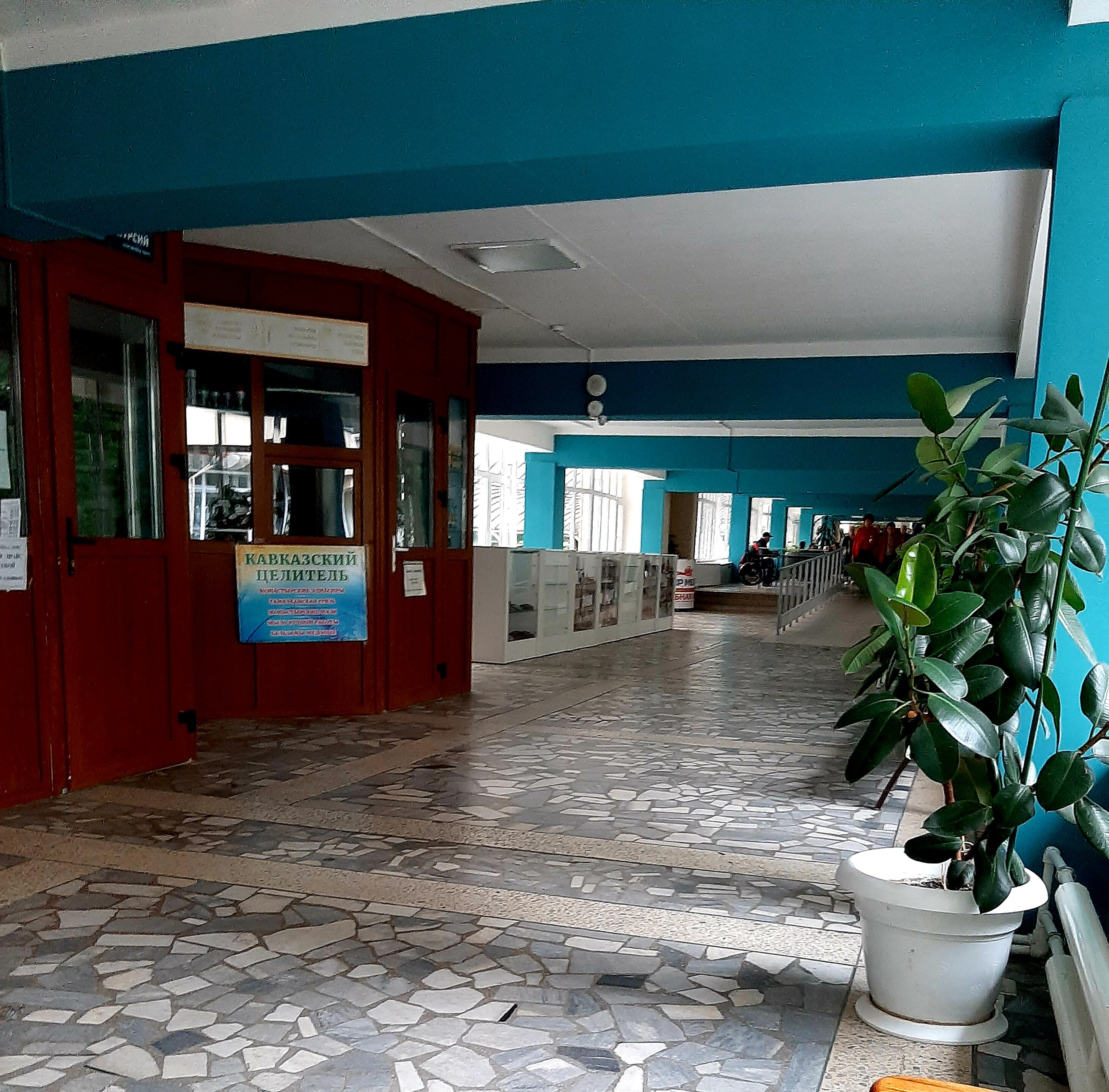 Фото Лесная поляна