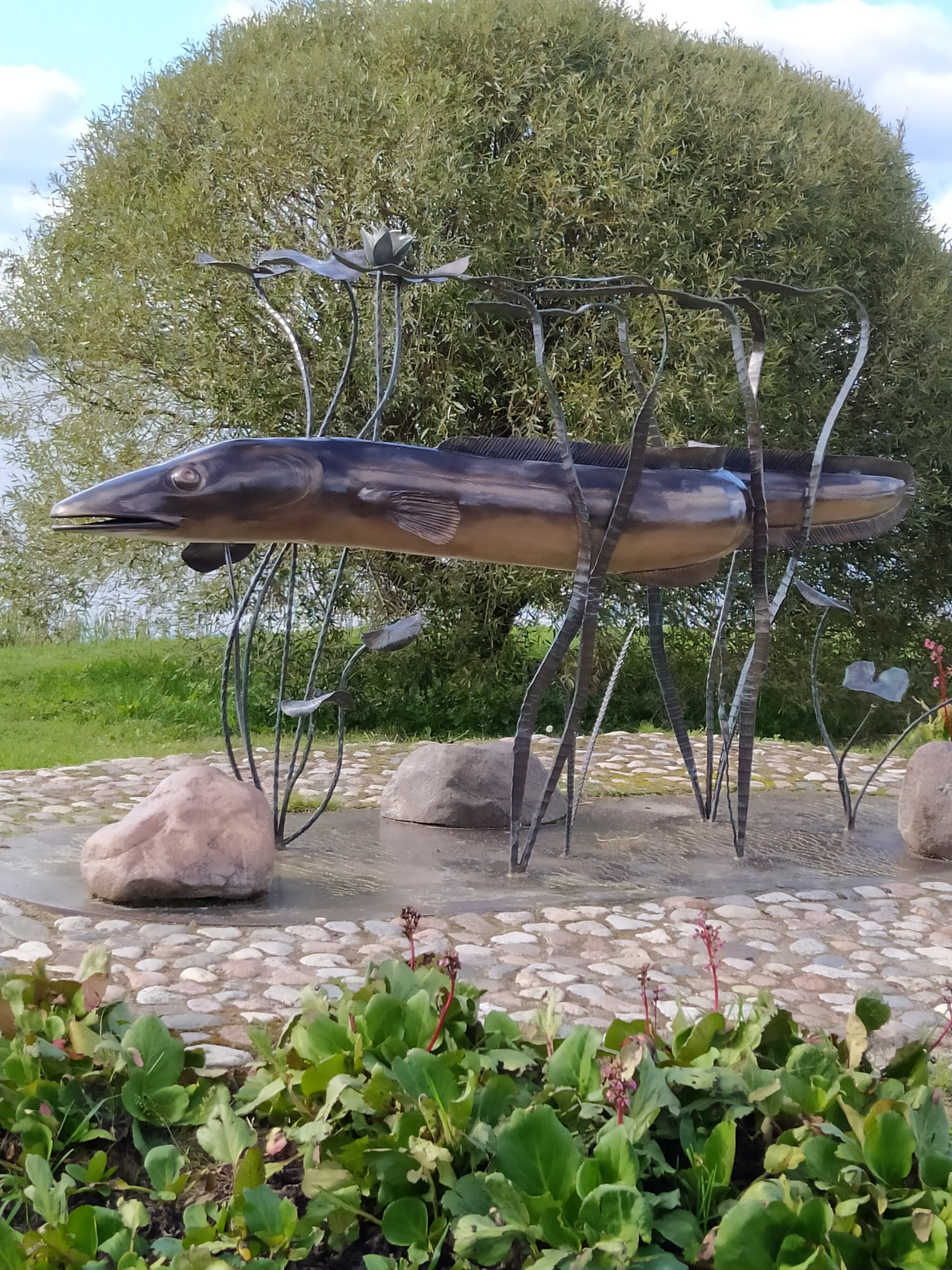 Фото Нарочанка