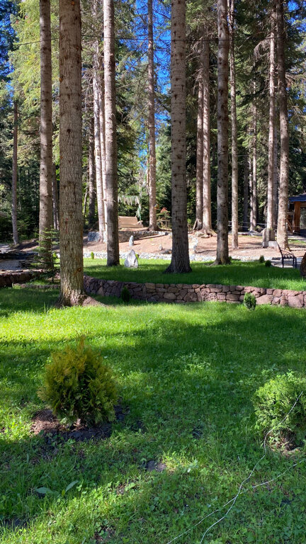 Фото Пихта-парк