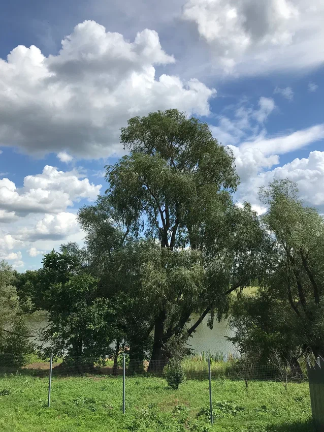 Фото Место Встречи