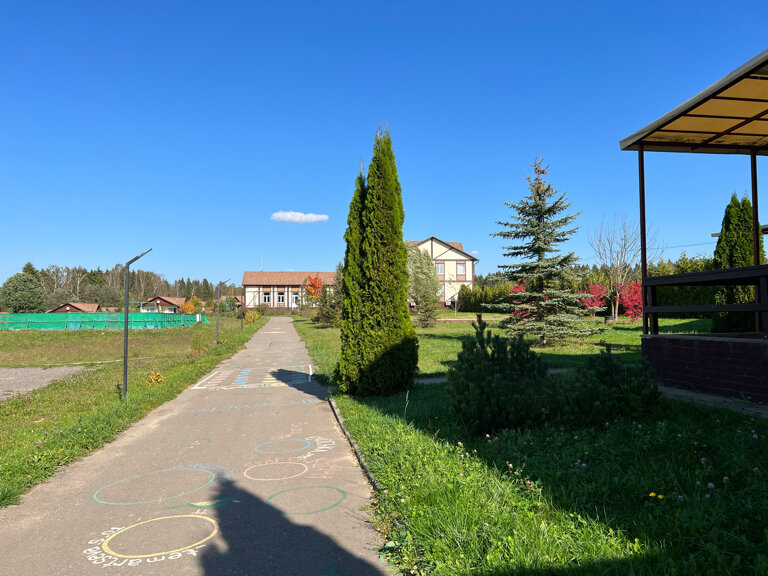 Фото Иволга