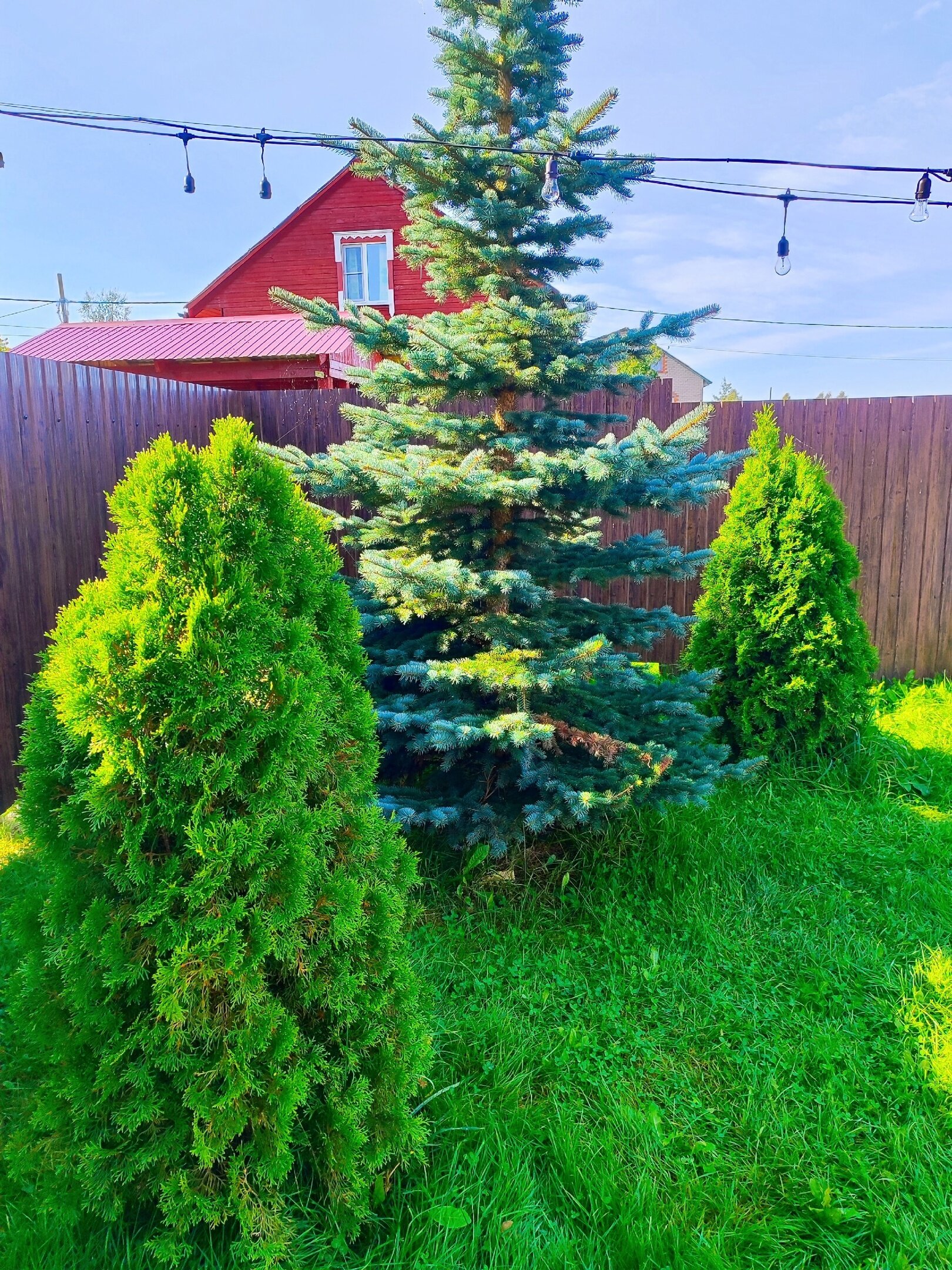 Фото База отдыха Ильмень