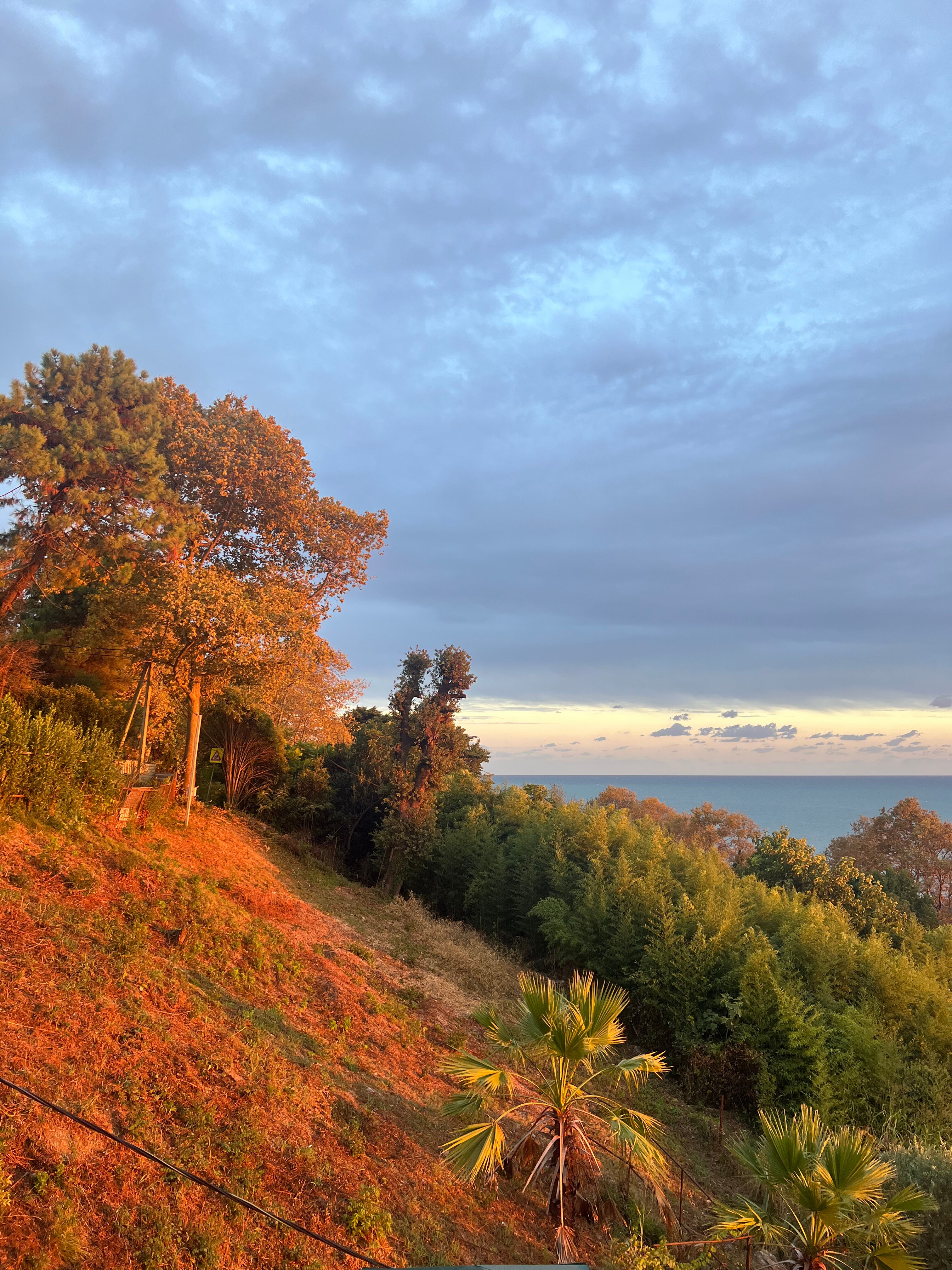Фото Villa Terrasa