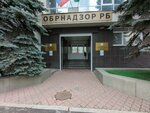 Министерство образования Республики Башкортостан (Tsyurupy Street, 100/102) ، هيئات الرقابة الحكومية