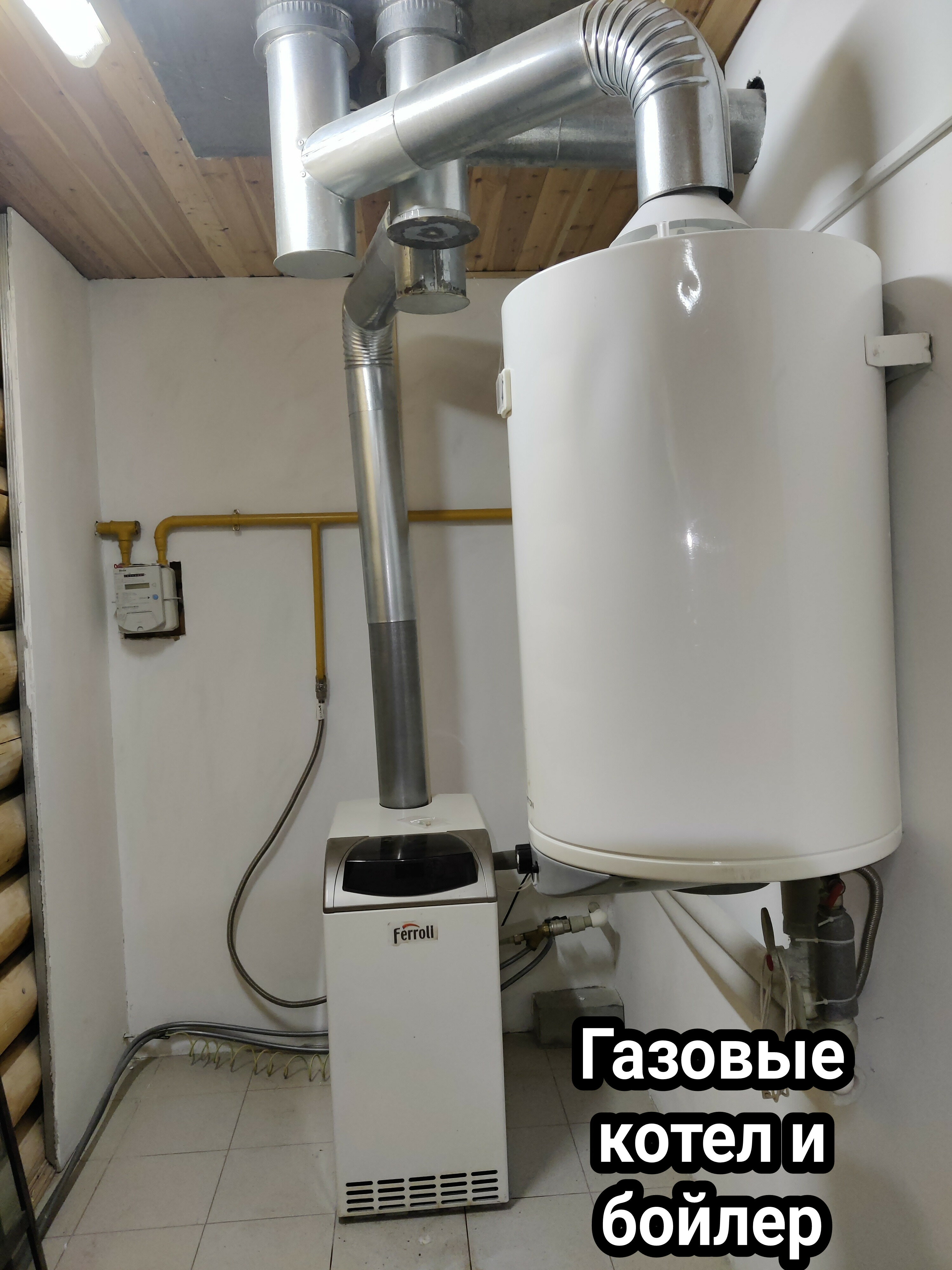 Фото Дикий Лис