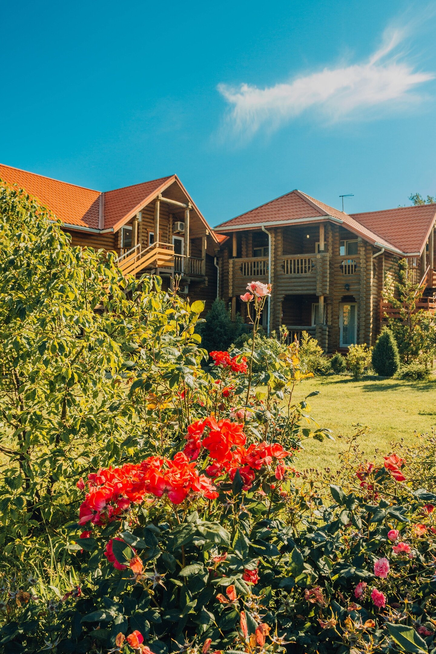 Фото Озеро Дивное