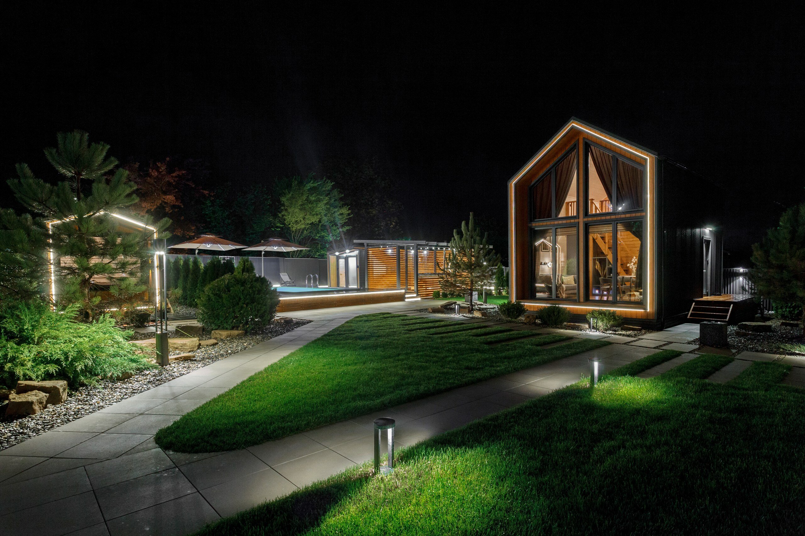 Фото 8 Сосен