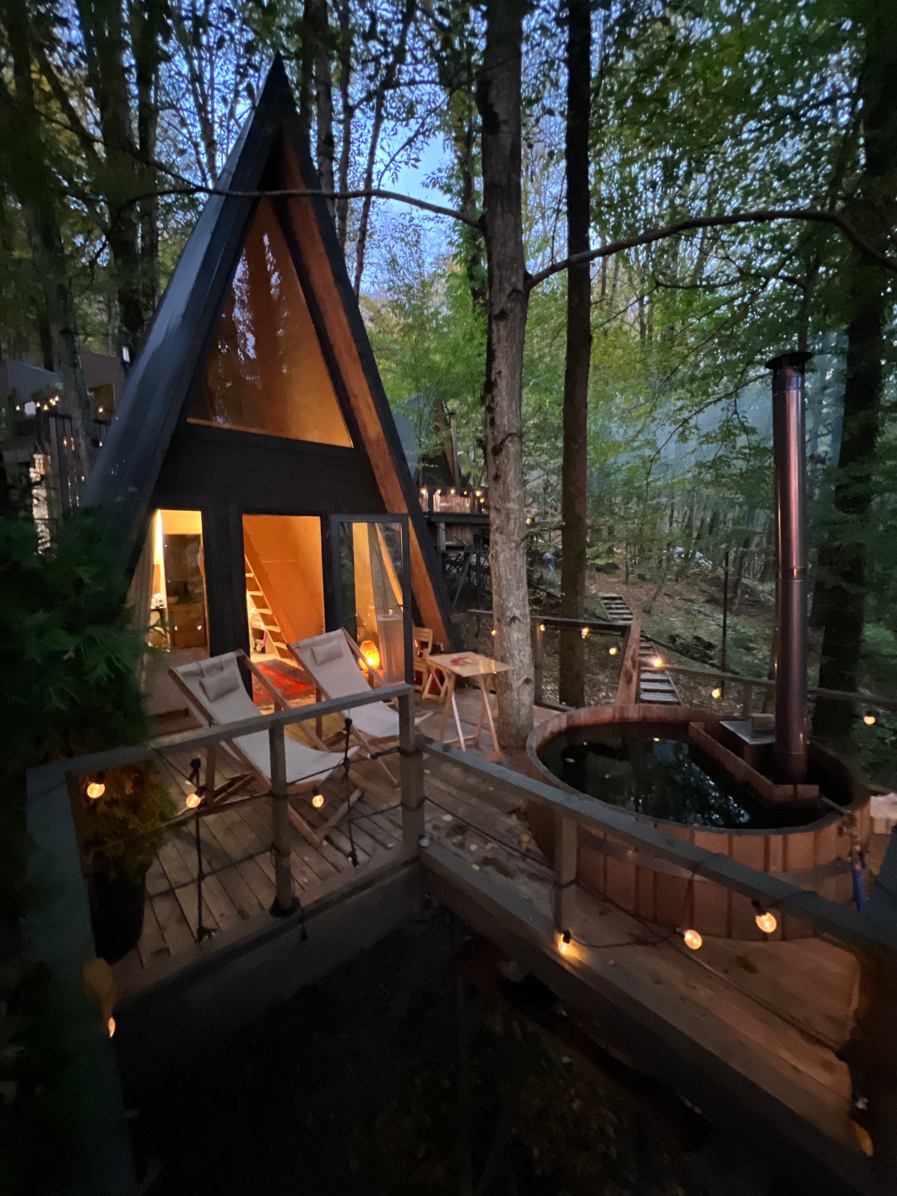 Фото Дзен Поляна