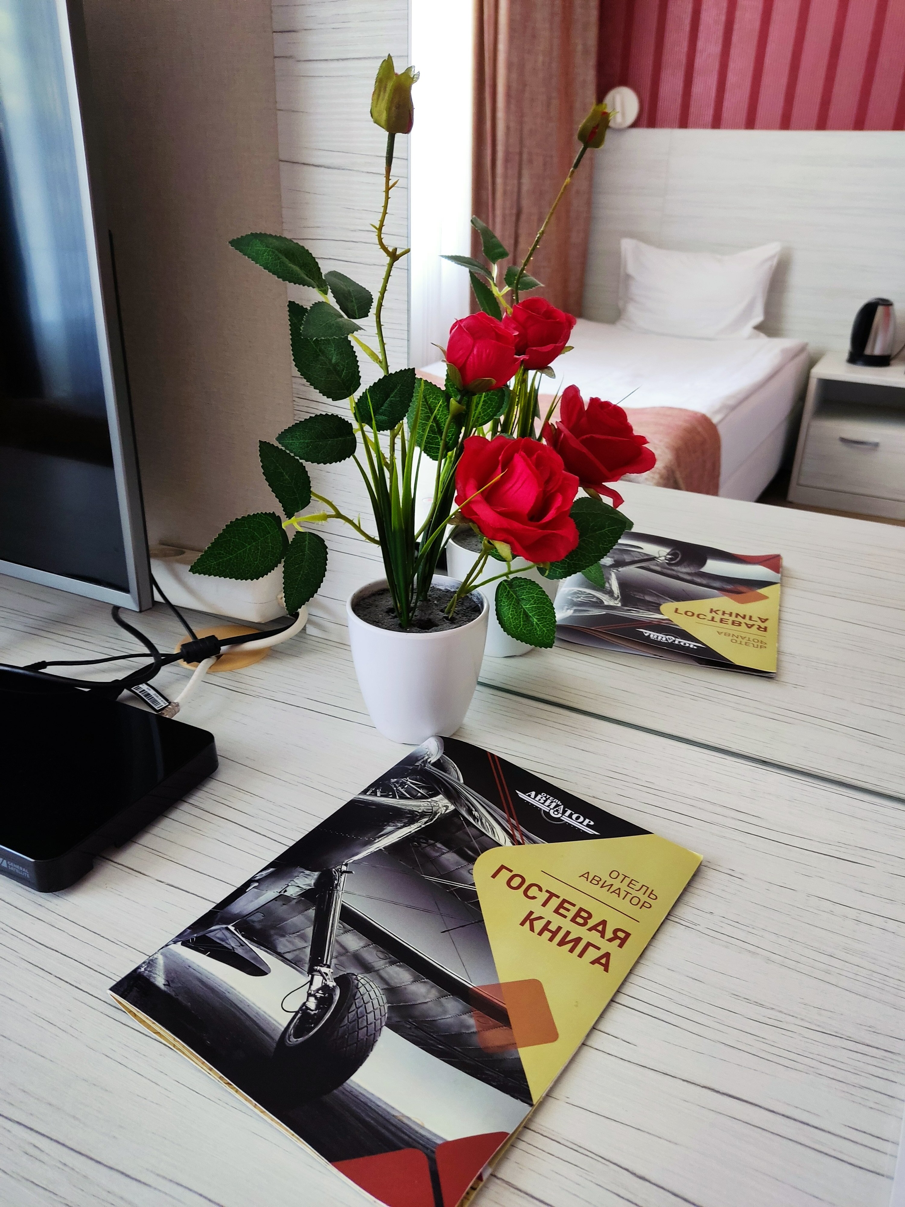 Фото Авиатор