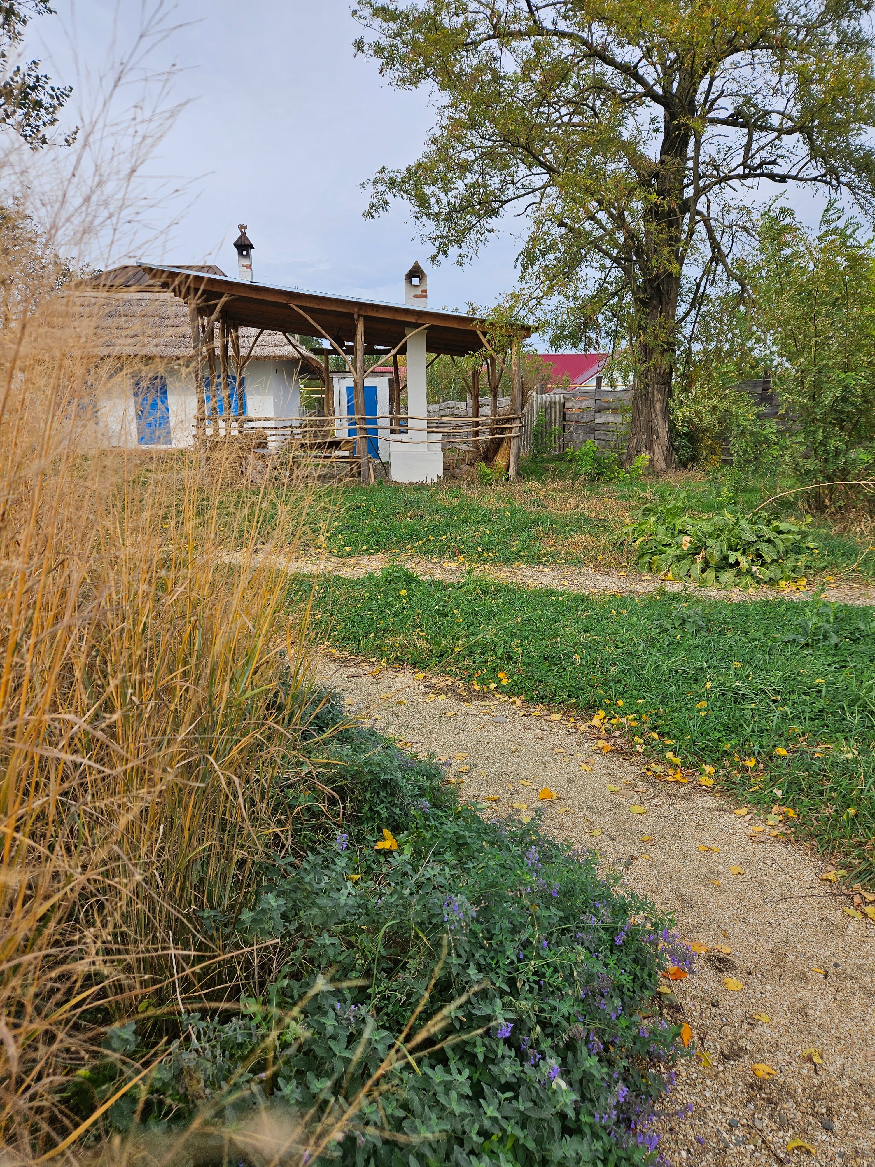 Фото Кубанский хуторок