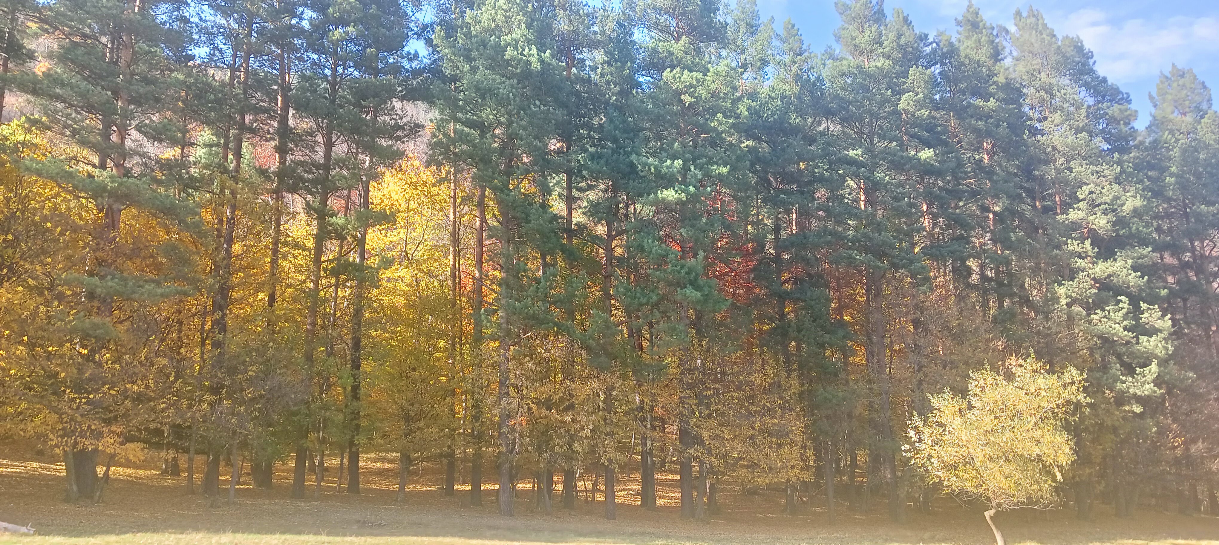 Фото Архыз триумф