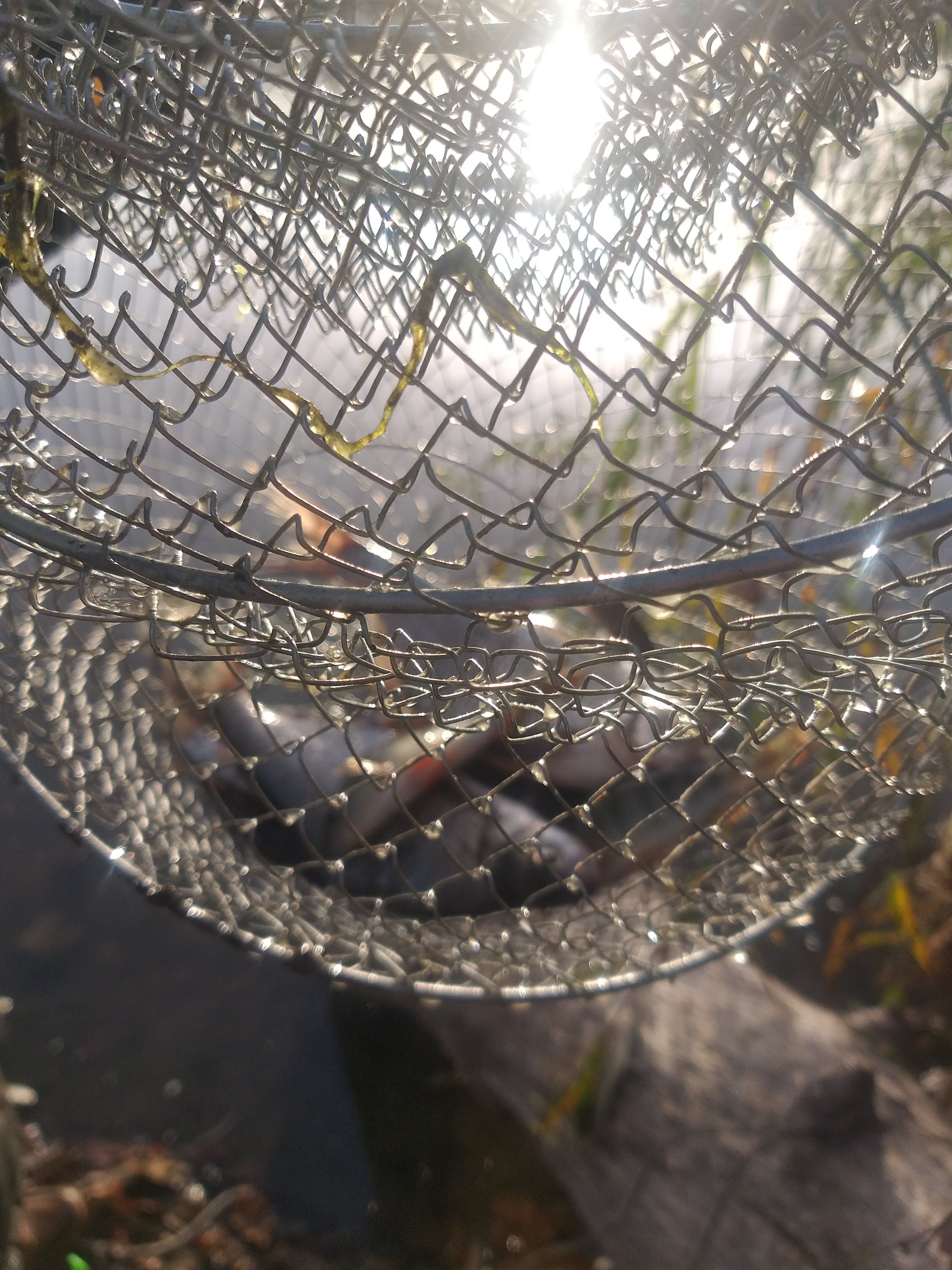 Фото Водоем Центральный