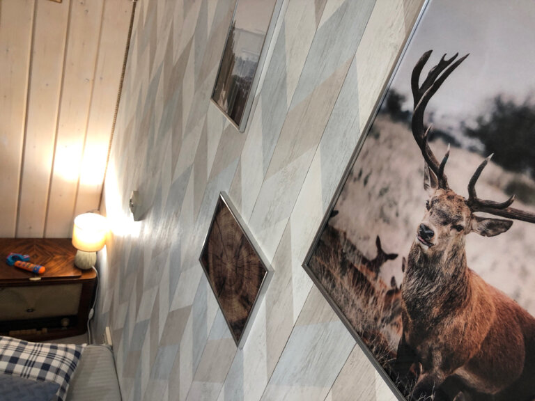 Фото Северный олень