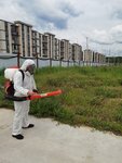 Городской центр дезинфекции СЭС групп (posyolok gorodskogo tipa Bykovo, Teatralnaya ulitsa, 3с23), desinfección, desinsectación, desratización