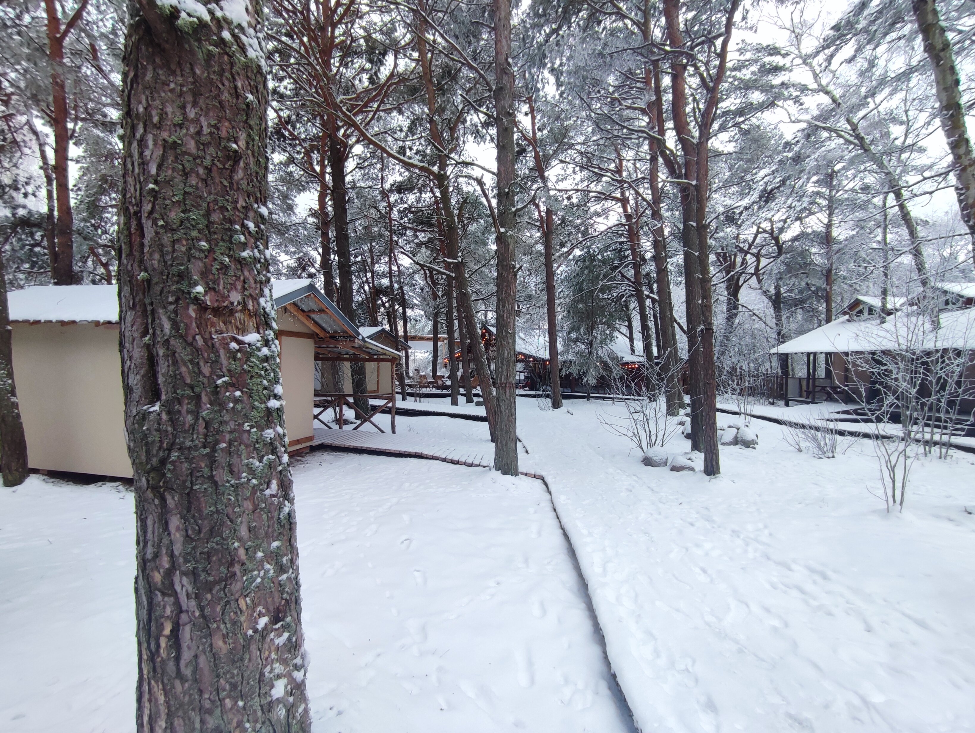 Фото Куршале