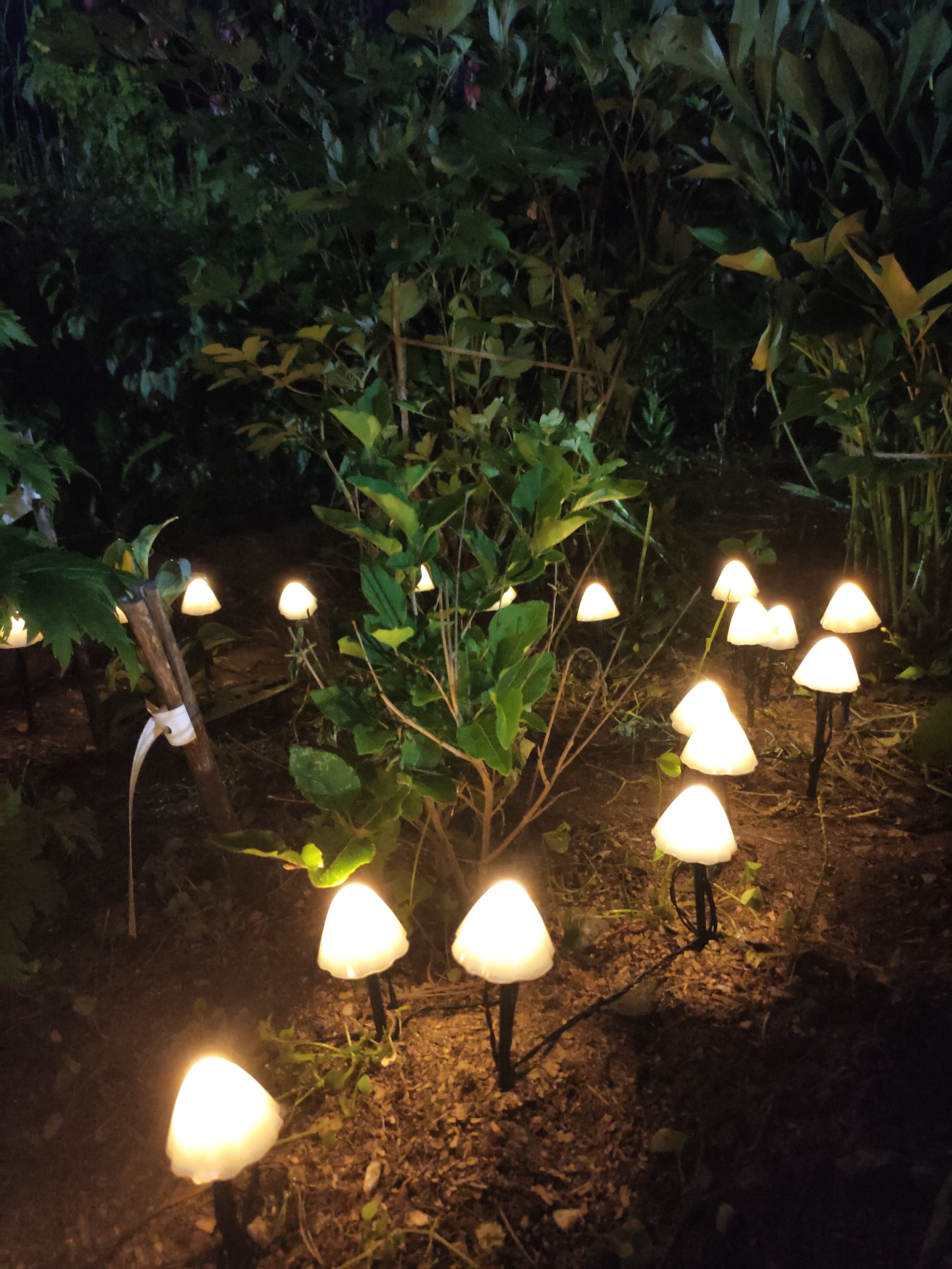 Фото Байкал Йети