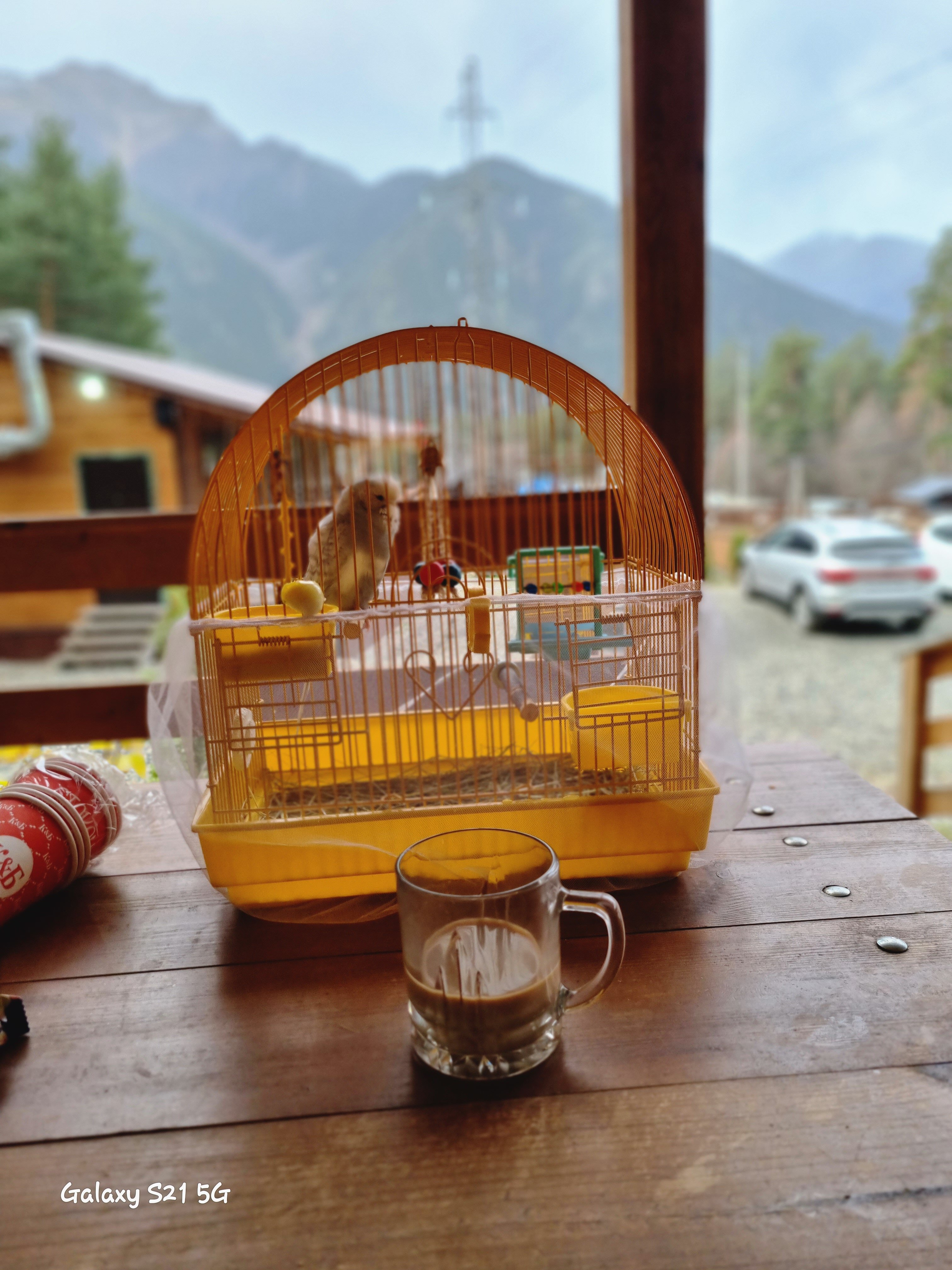 Фото Радужный Архыз