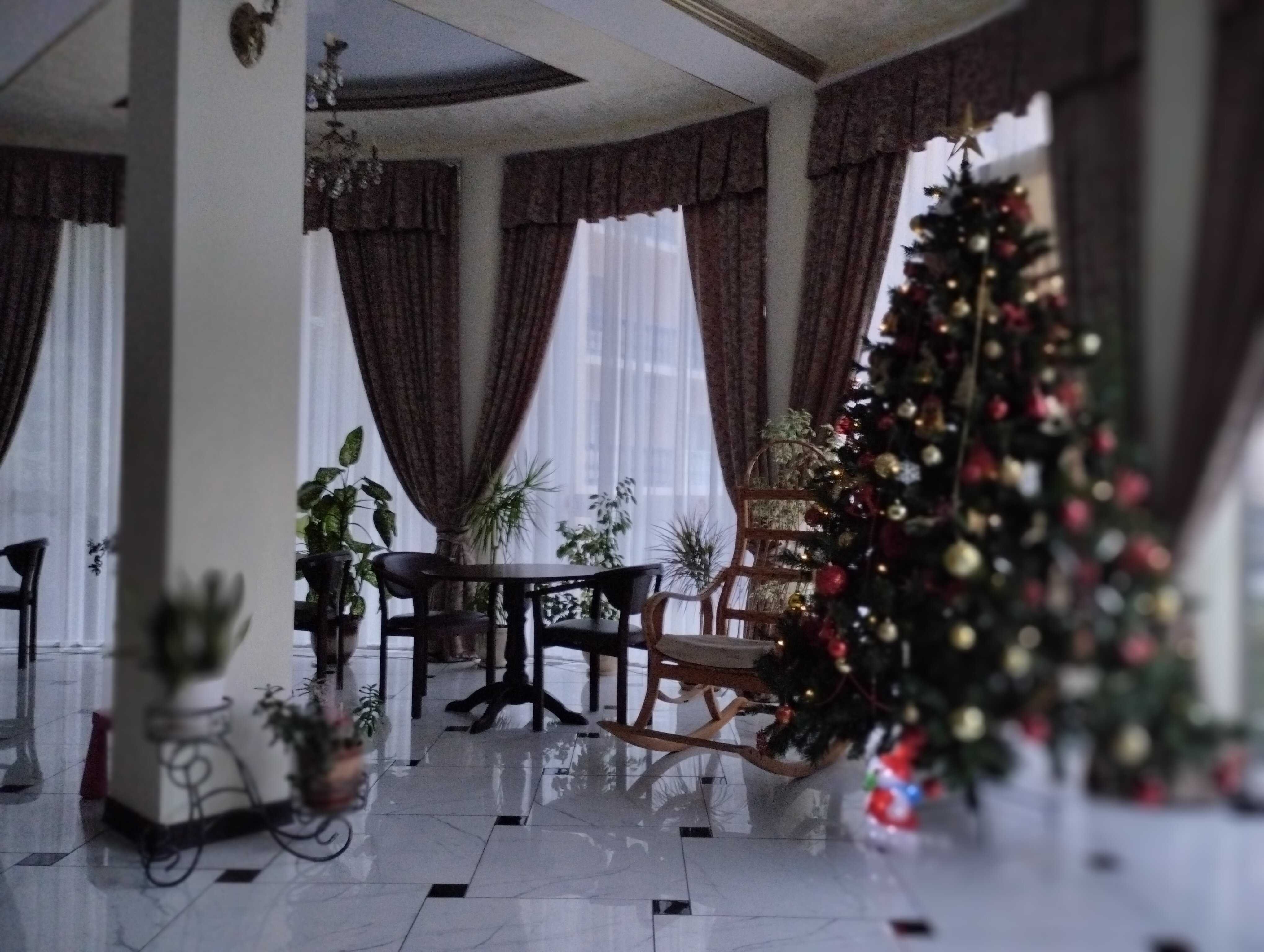 Фото Кардинал