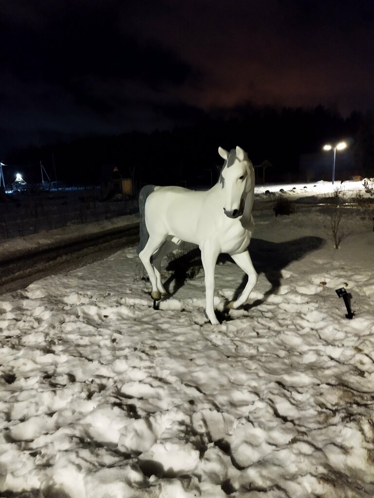 Horse riding Novopolye, Saint‑Petersburg and Leningrad Oblast, photo