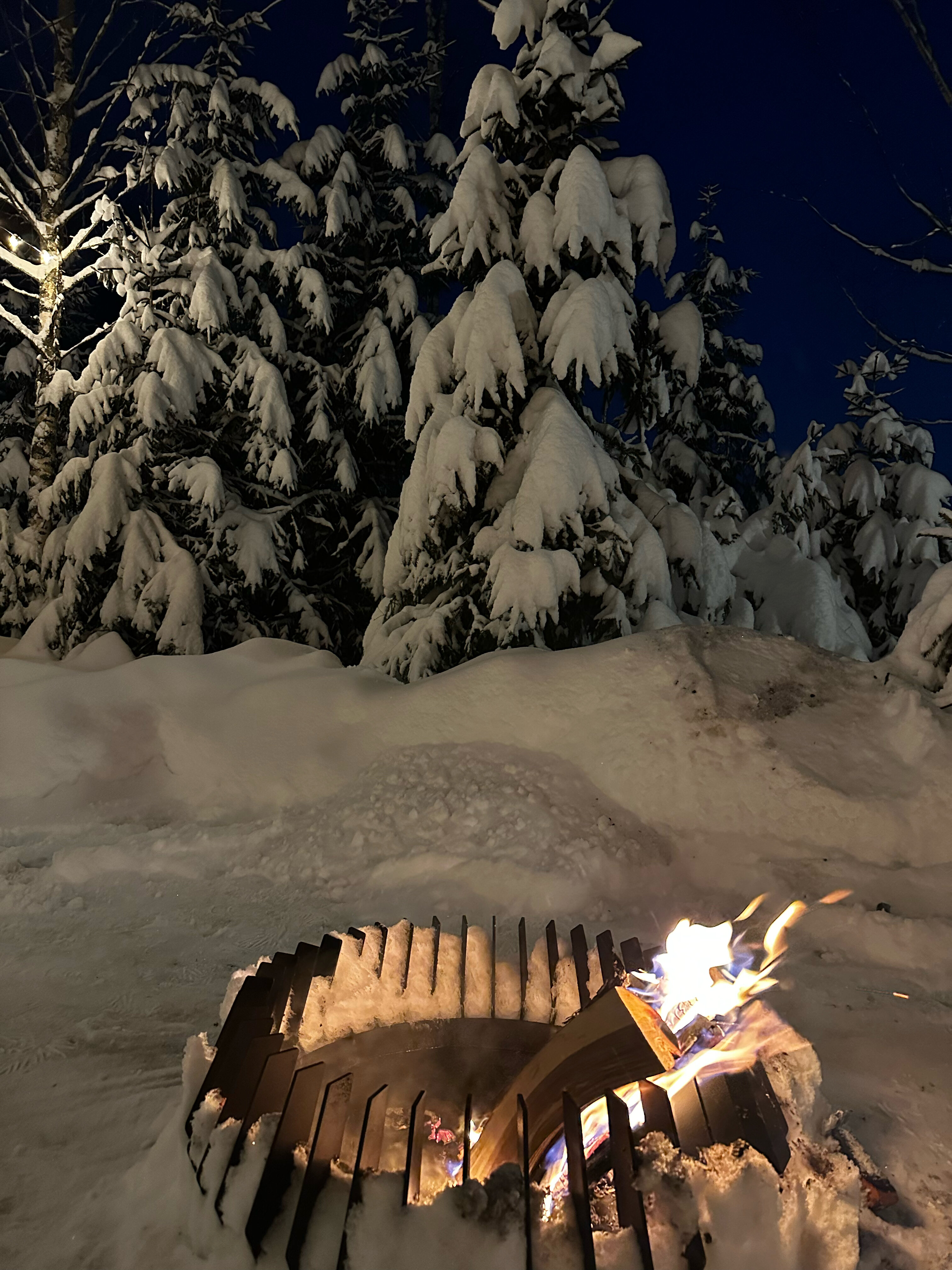 Фото Веденье