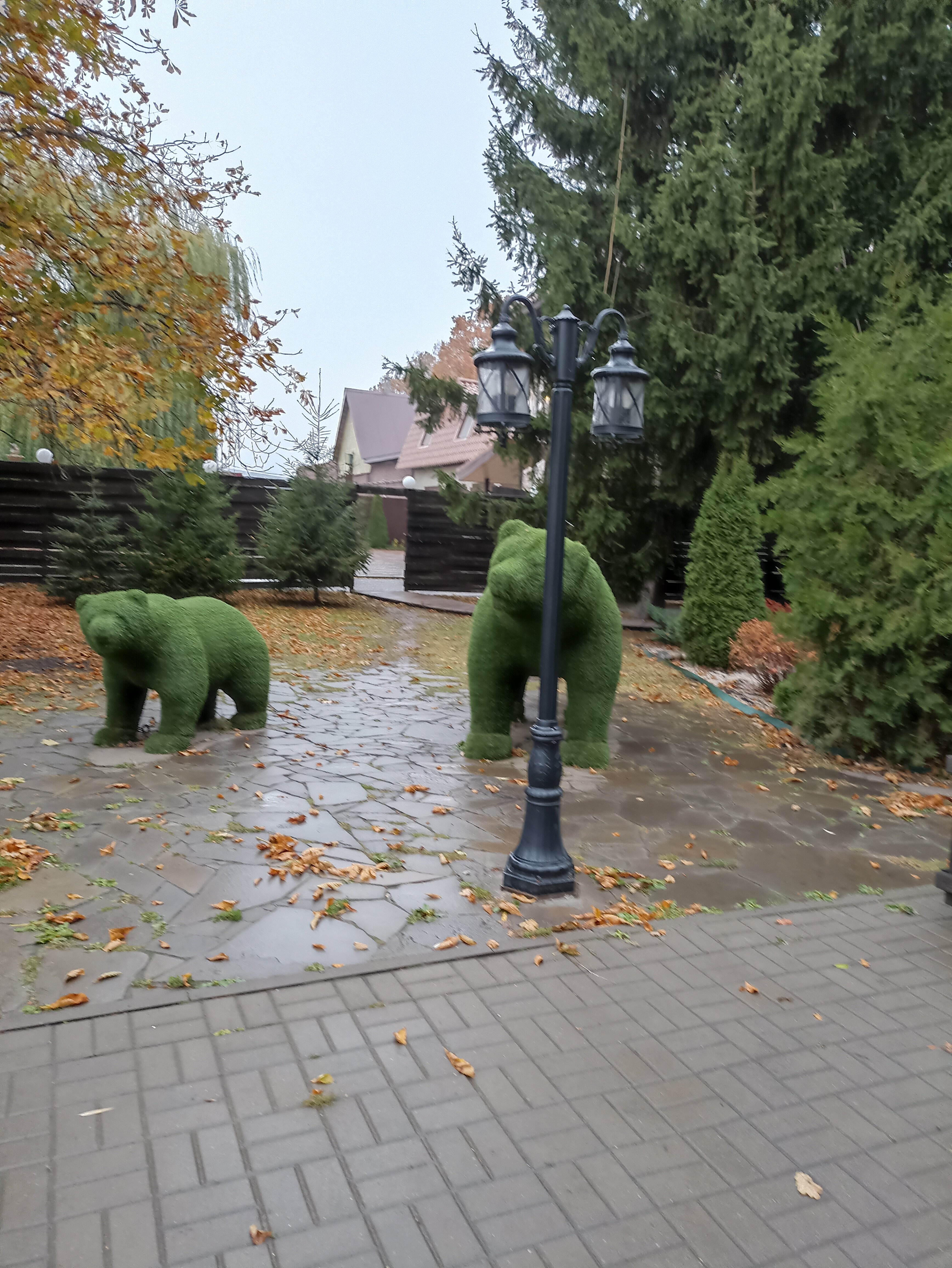 Фото Провинция