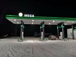 Mega (Chelyabinsk Region, Kasli), gas station