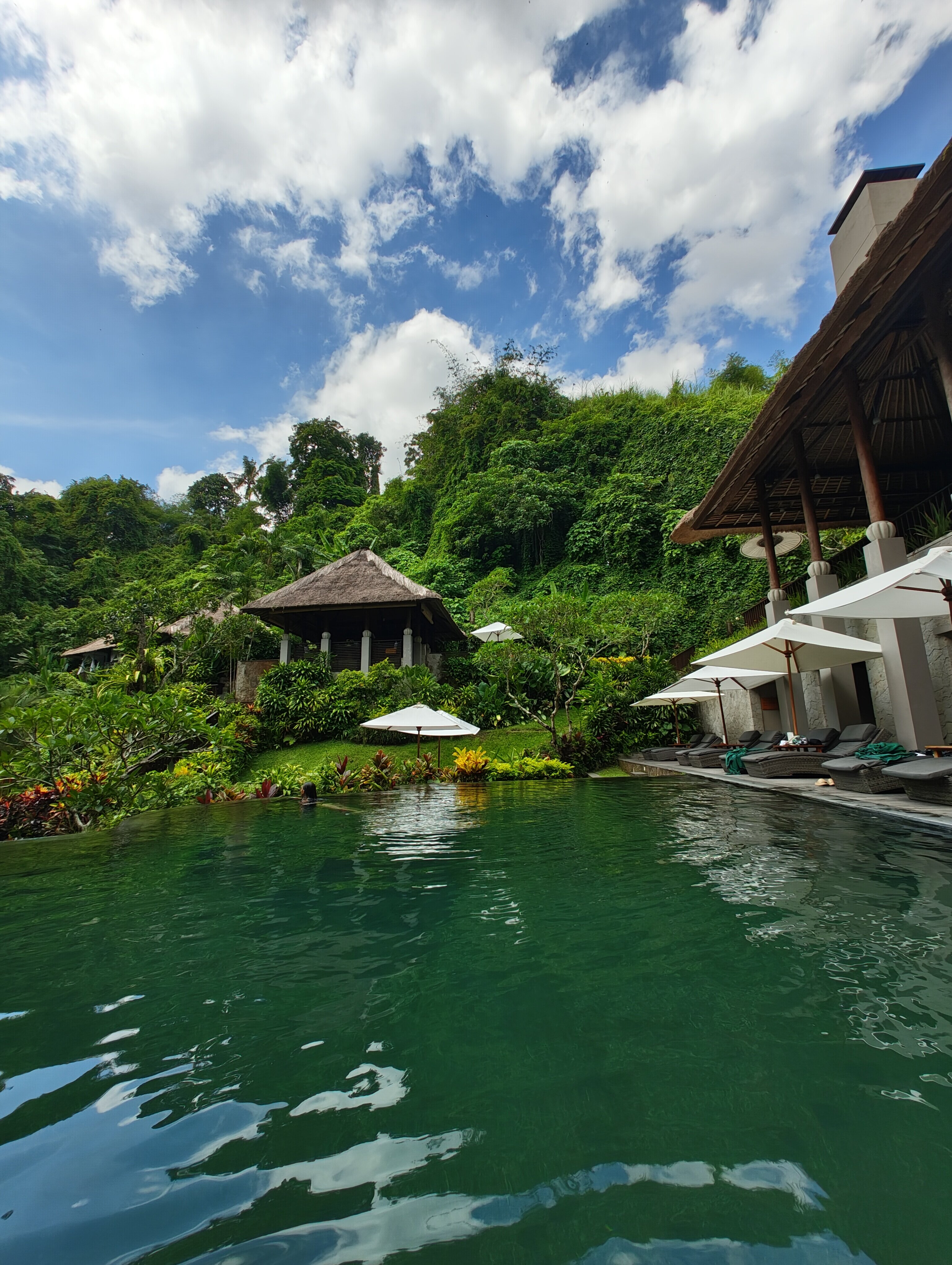 Фото Maya Ubud Resort & Spa