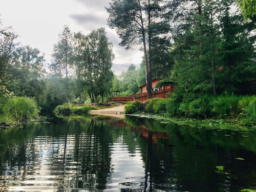 Поляна — фото 2