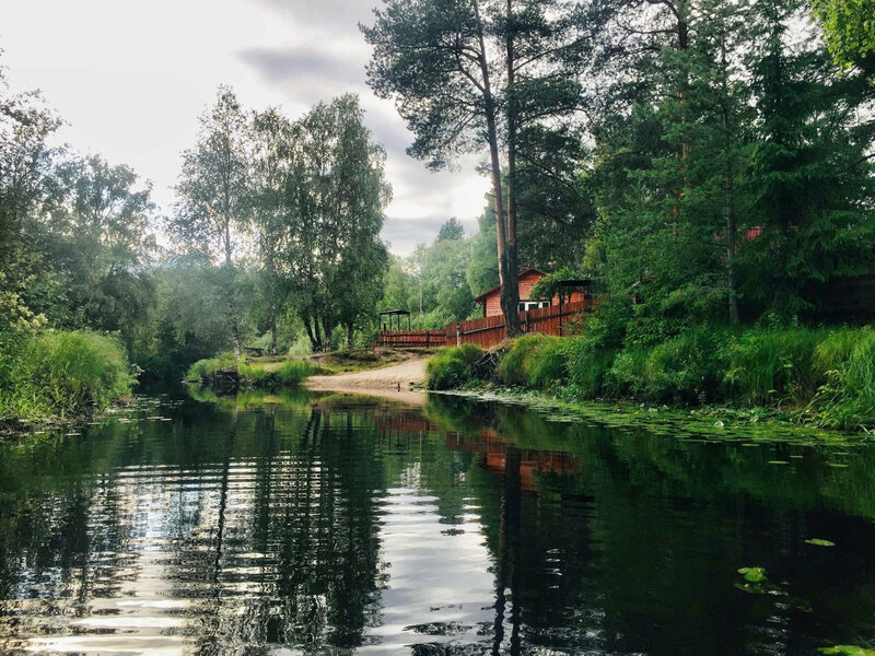 Поляна — фото 2