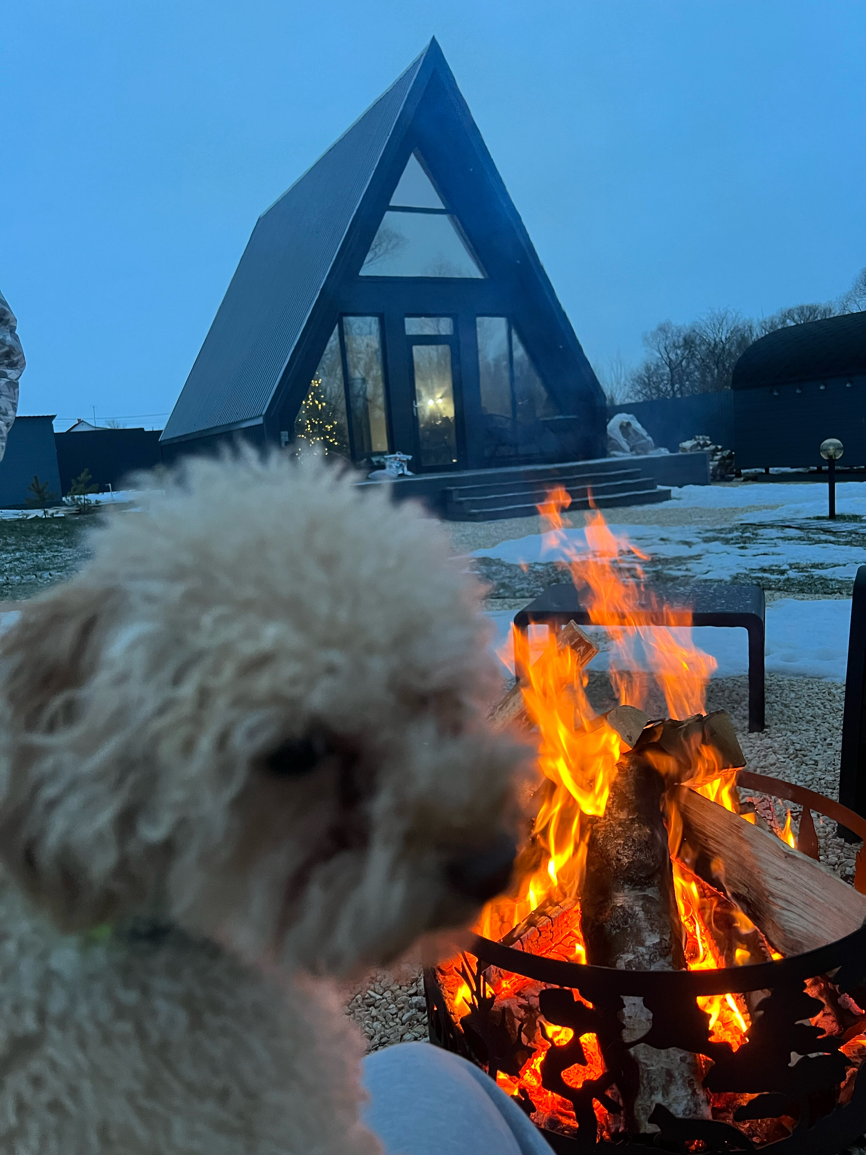 Фото Шале в Орле Вместе