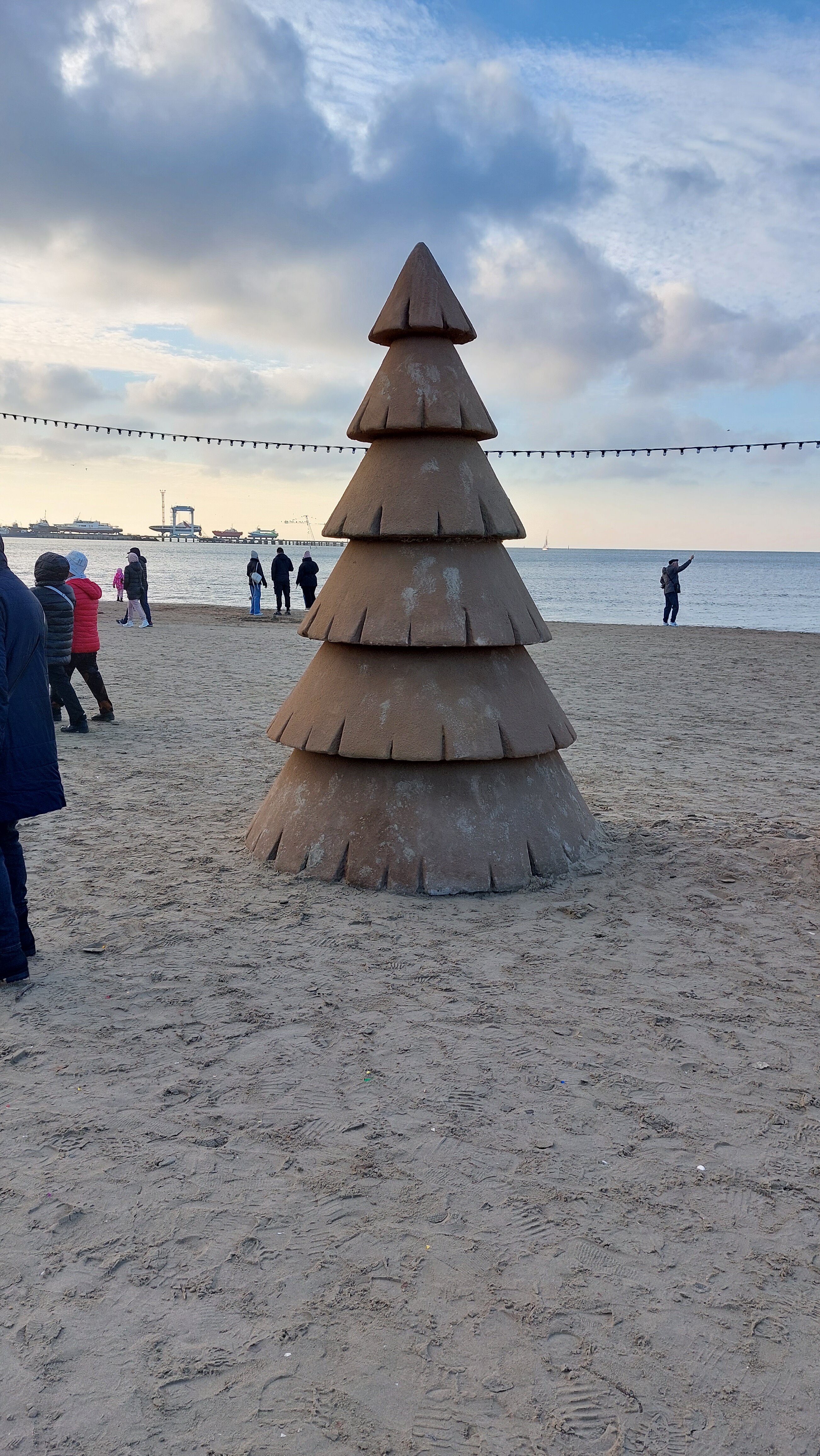 Фото Ванилька