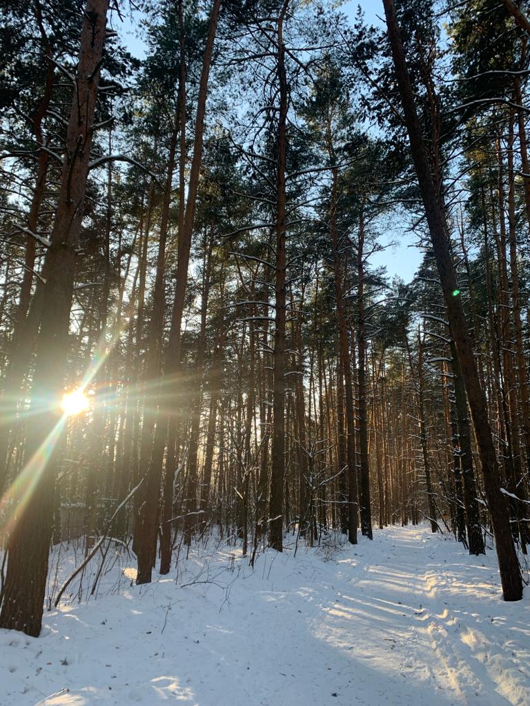 Фото Barn. House. Chulcovo