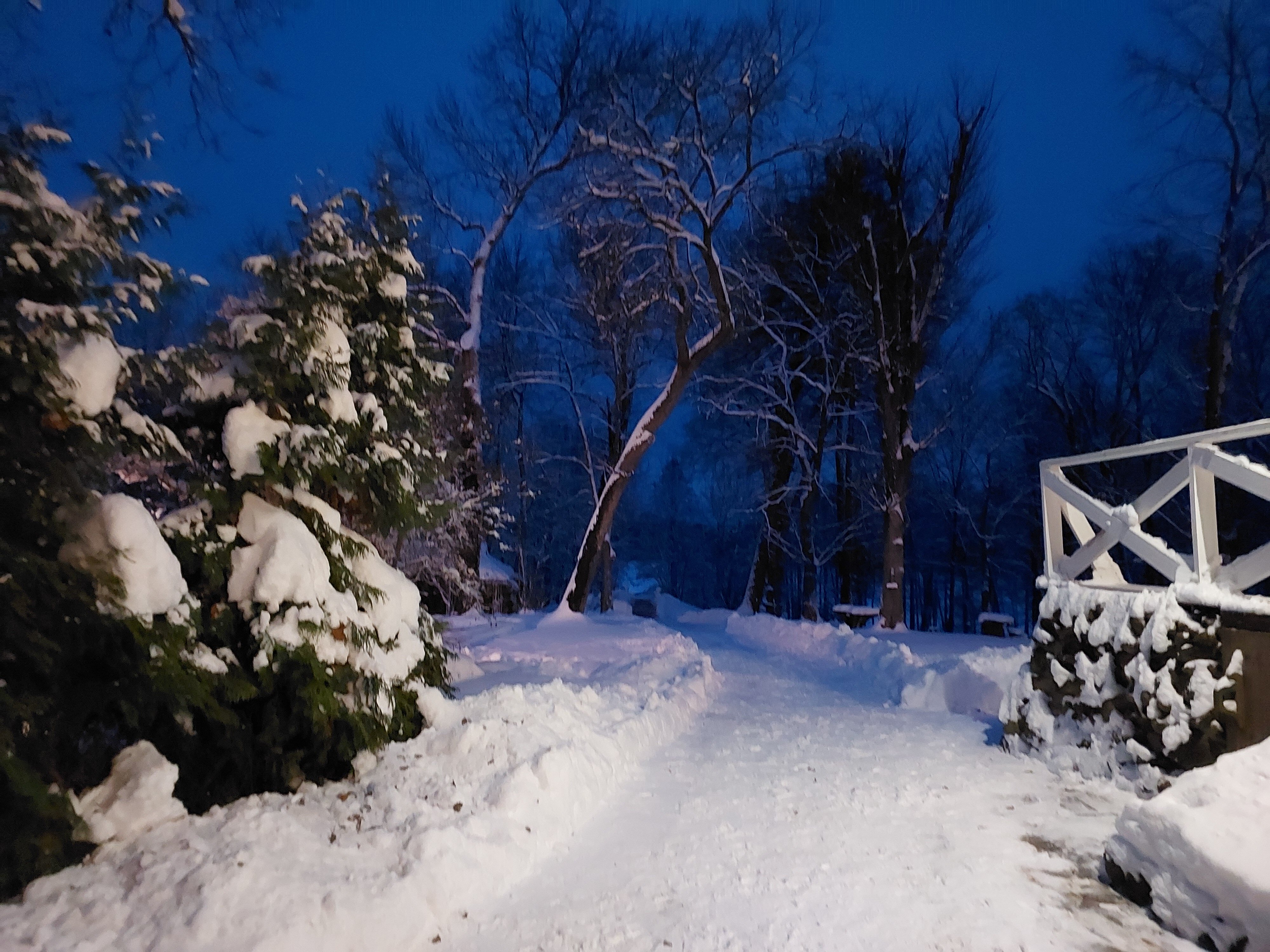 Фото Мишкина дача