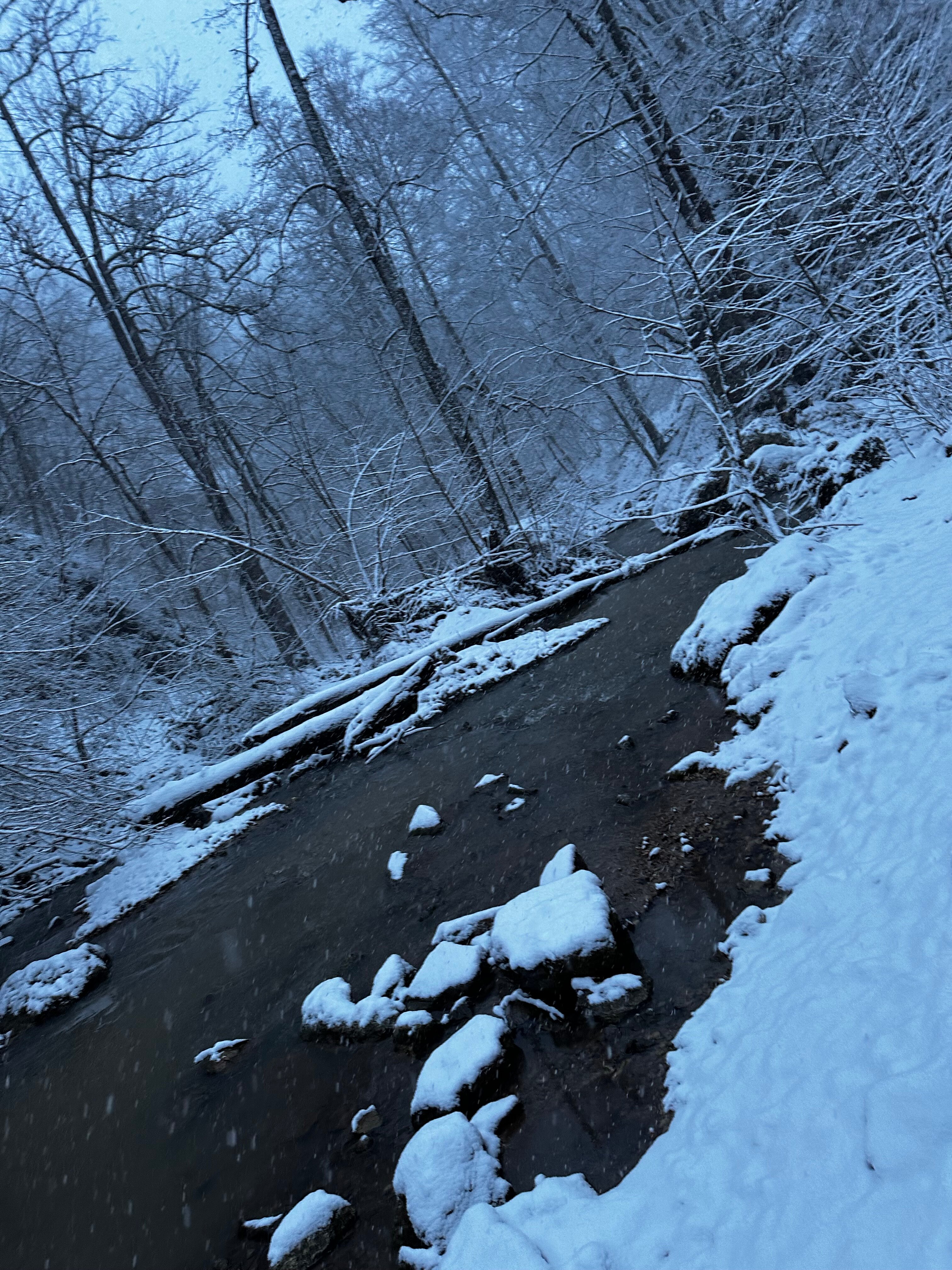 Фото Горы зовут
