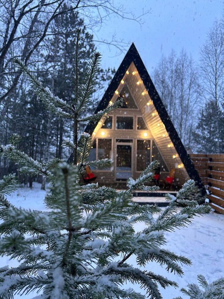 Фото Дом в лесу