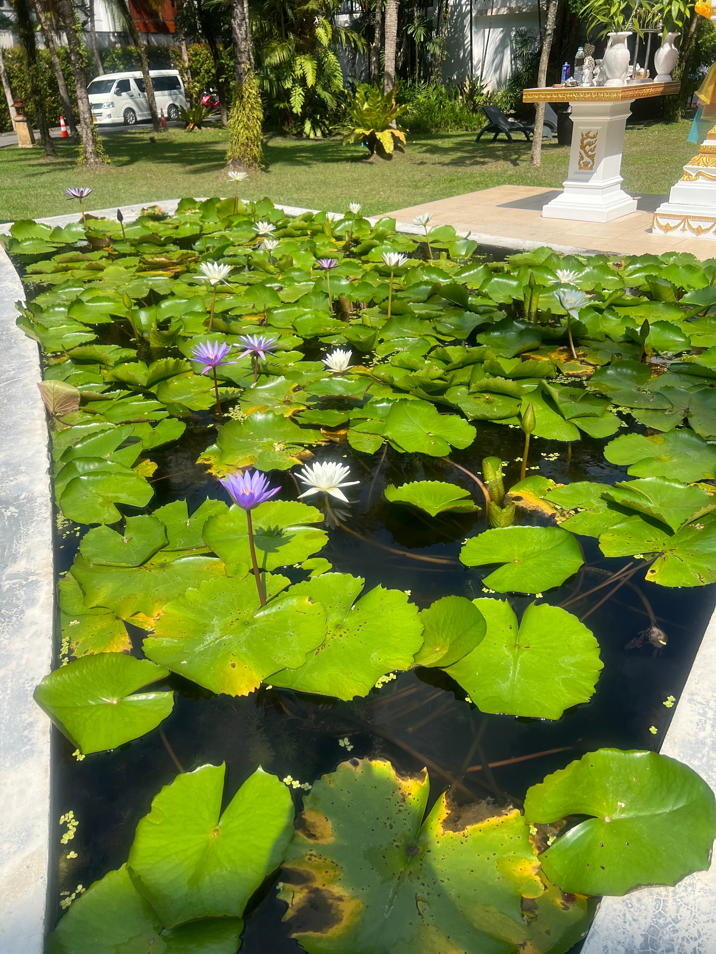 Фото Naithonburi Beach Resort