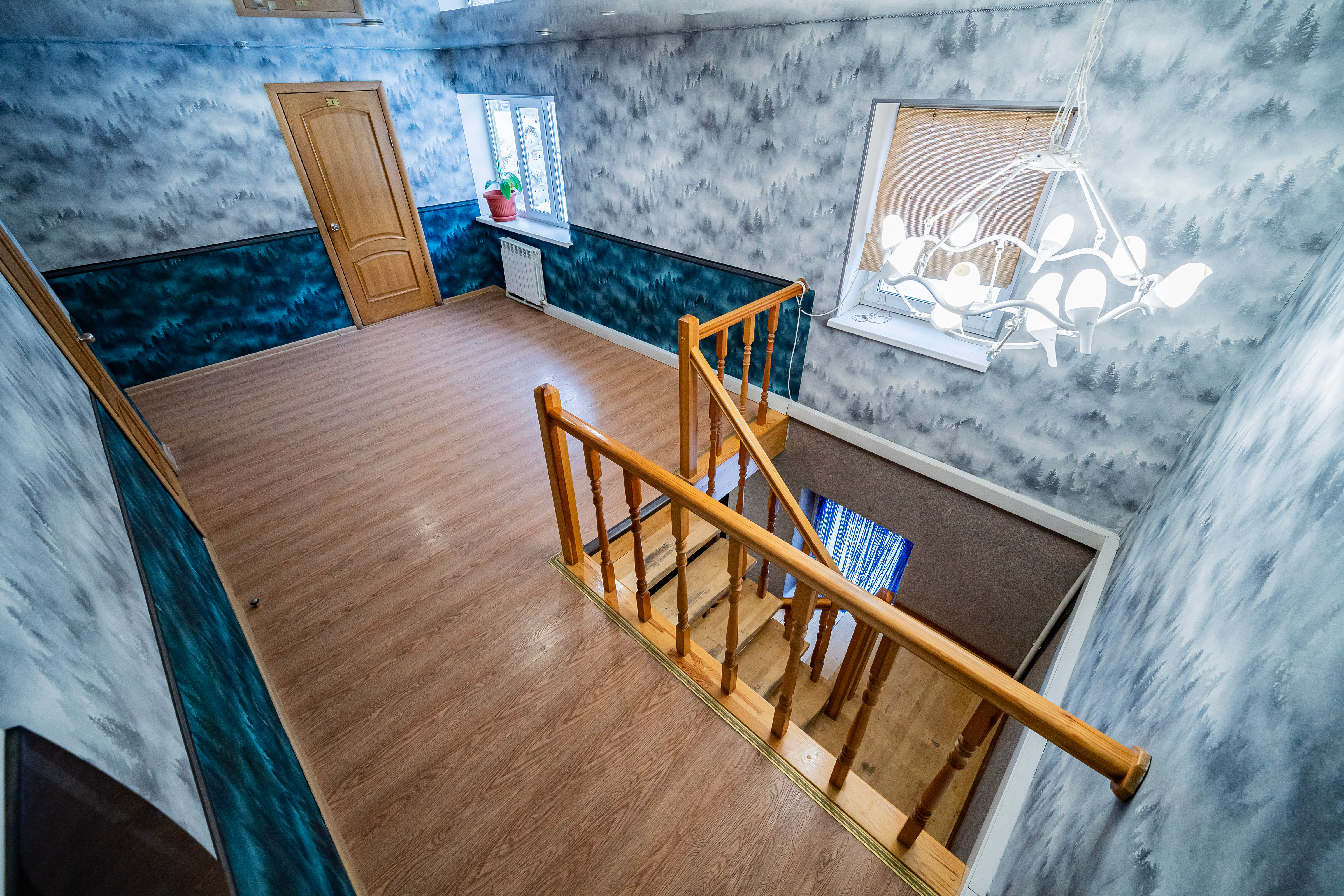 Фото Пальмы